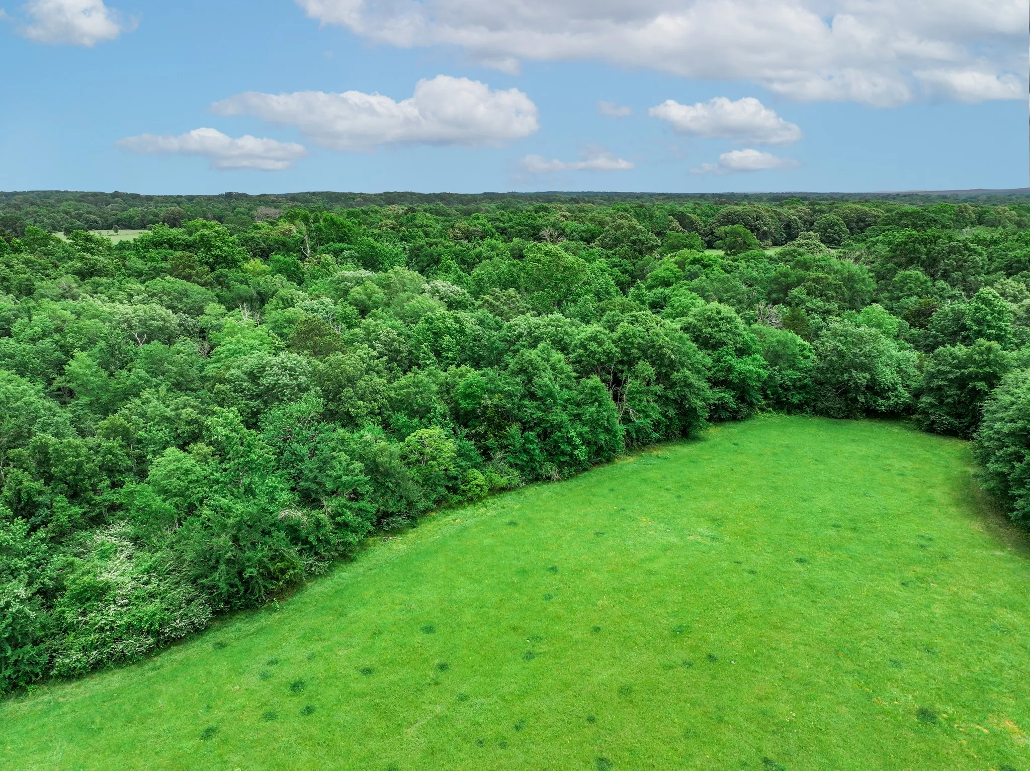 Ranch For Sale in Anderson County , 3732 US Highway 84, Palestine, Texas 75801, 0, 0, Garage spaces, 0 Sqft, built in 0, Price $1,776,700, mls#21144306, Real Estate Agent in Palestine, Homes For Sale in Anderson county, Homes For Sale in Palestine, Realtor in Palestine Texas, Real Estate Brokerage Independent Realty Texas, Luminita Cordes Realtor