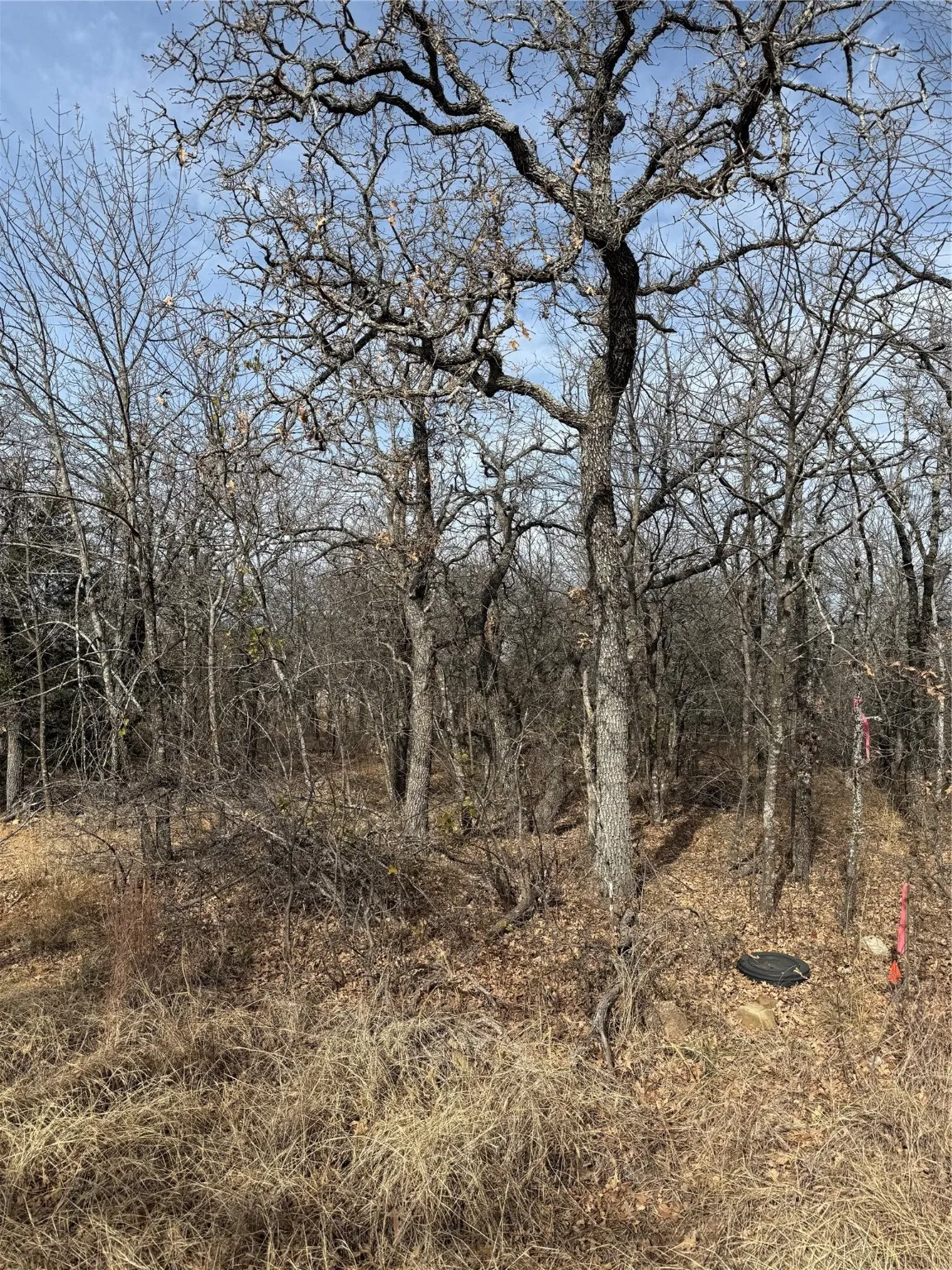 Unimproved Land For Sale in Wise County , 0 Miller Court, Runaway Bay, Texas 76426, 0, 0, Garage spaces, 0 Sqft, built in 0, mls#21144504, Real Estate Agent in Runaway Bay, Homes For Sale in Wise county, Homes For Sale in Runaway Bay, Realtor in Runaway Bay Texas, Real Estate Brokerage Independent Realty Texas, Luminita Cordes Realtor