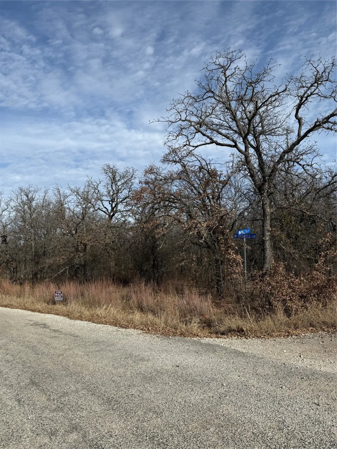 Unimproved Land For Sale in Wise County , 0 Miller Court, Runaway Bay, Texas 76426, 0, 0, Garage spaces, 0 Sqft, built in 0, mls#21144504, Real Estate Agent in Runaway Bay, Homes For Sale in Wise county, Homes For Sale in Runaway Bay, Realtor in Runaway Bay Texas, Real Estate Brokerage Independent Realty Texas, Luminita Cordes Realtor