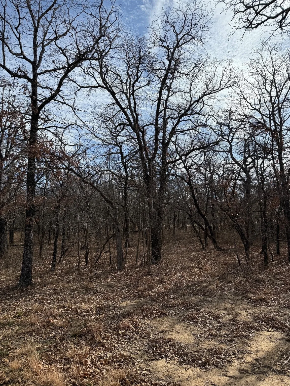 Unimproved Land For Sale in Wise County , 0 Miller Court, Runaway Bay, Texas 76426, 0, 0, Garage spaces, 0 Sqft, built in 0, mls#21144504, Real Estate Agent in Runaway Bay, Homes For Sale in Wise county, Homes For Sale in Runaway Bay, Realtor in Runaway Bay Texas, Real Estate Brokerage Independent Realty Texas, Luminita Cordes Realtor