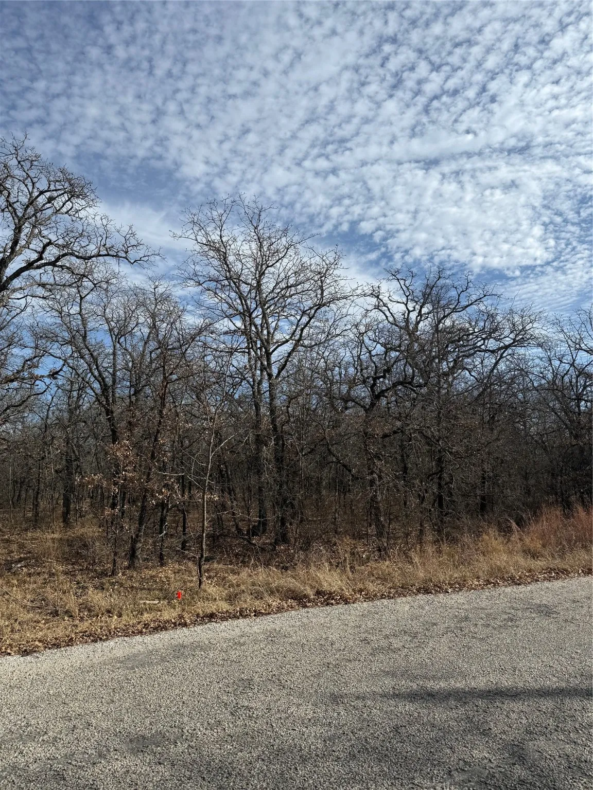 Unimproved Land For Sale in Wise County , 0 Miller Court, Runaway Bay, Texas 76426, 0, 0, Garage spaces, 0 Sqft, built in 0, mls#21144504, Real Estate Agent in Runaway Bay, Homes For Sale in Wise county, Homes For Sale in Runaway Bay, Realtor in Runaway Bay Texas, Real Estate Brokerage Independent Realty Texas, Luminita Cordes Realtor