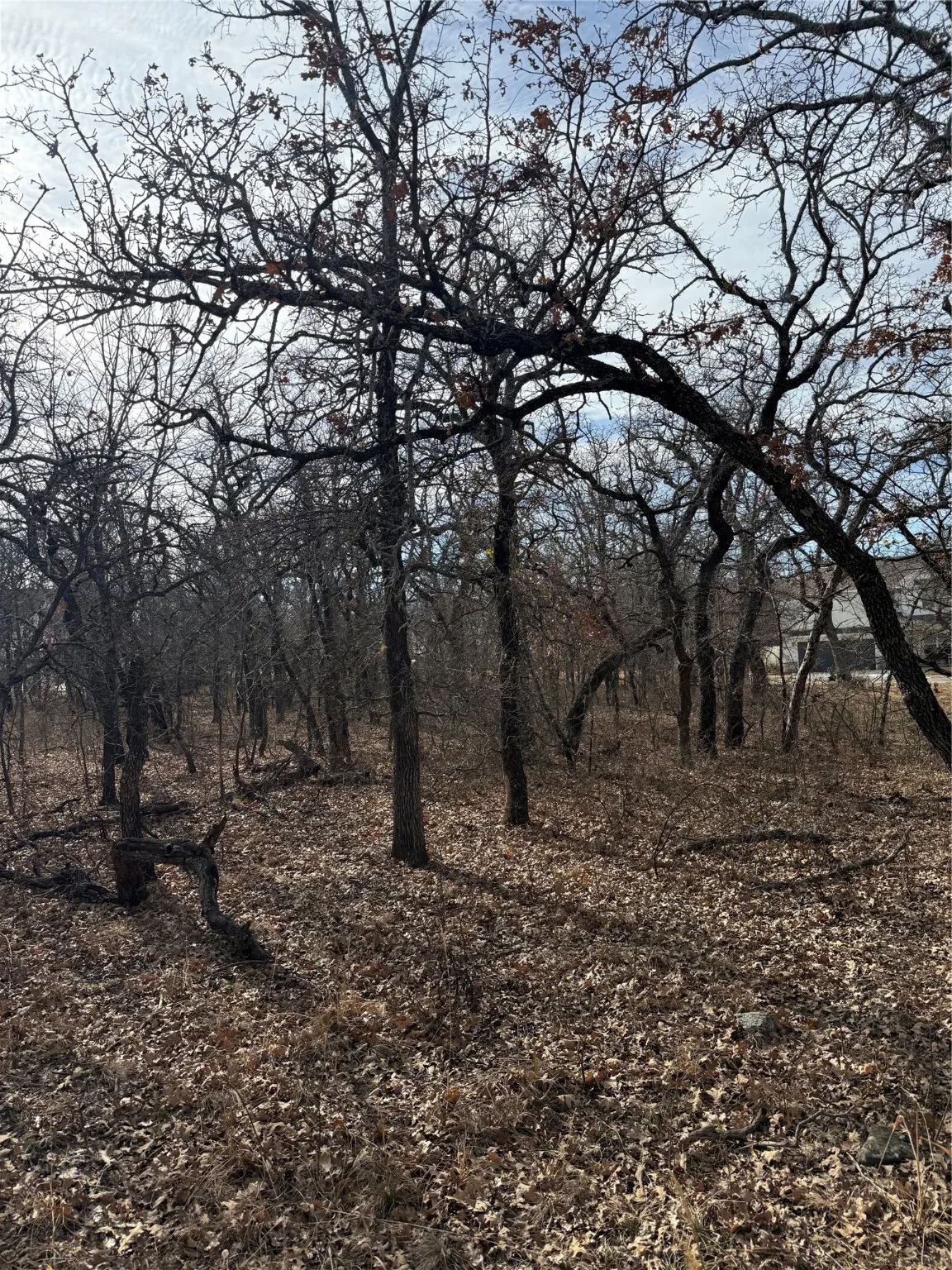 Unimproved Land For Sale in Wise County , 0 Miller Court, Runaway Bay, Texas 76426, 0, 0, Garage spaces, 0 Sqft, built in 0, mls#21144504, Real Estate Agent in Runaway Bay, Homes For Sale in Wise county, Homes For Sale in Runaway Bay, Realtor in Runaway Bay Texas, Real Estate Brokerage Independent Realty Texas, Luminita Cordes Realtor