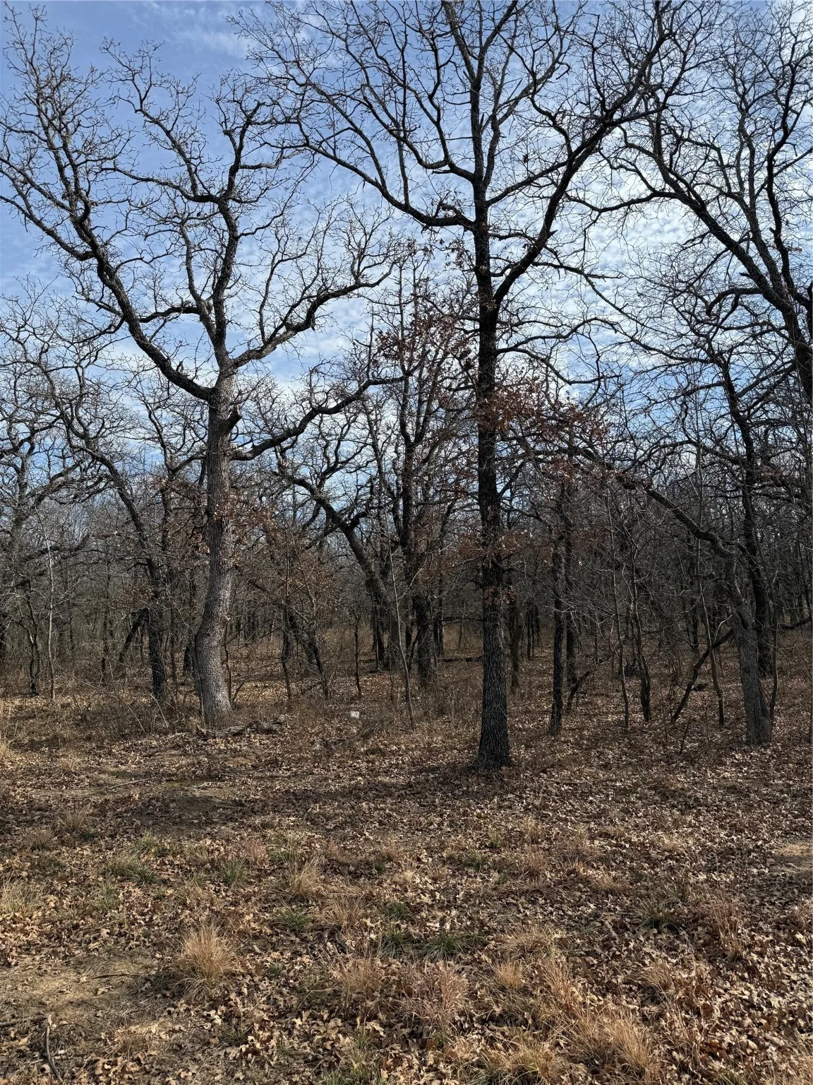 Unimproved Land For Sale in Wise County , 0 Miller Court, Runaway Bay, Texas 76426, 0, 0, Garage spaces, 0 Sqft, built in 0, mls#21144504, Real Estate Agent in Runaway Bay, Homes For Sale in Wise county, Homes For Sale in Runaway Bay, Realtor in Runaway Bay Texas, Real Estate Brokerage Independent Realty Texas, Luminita Cordes Realtor