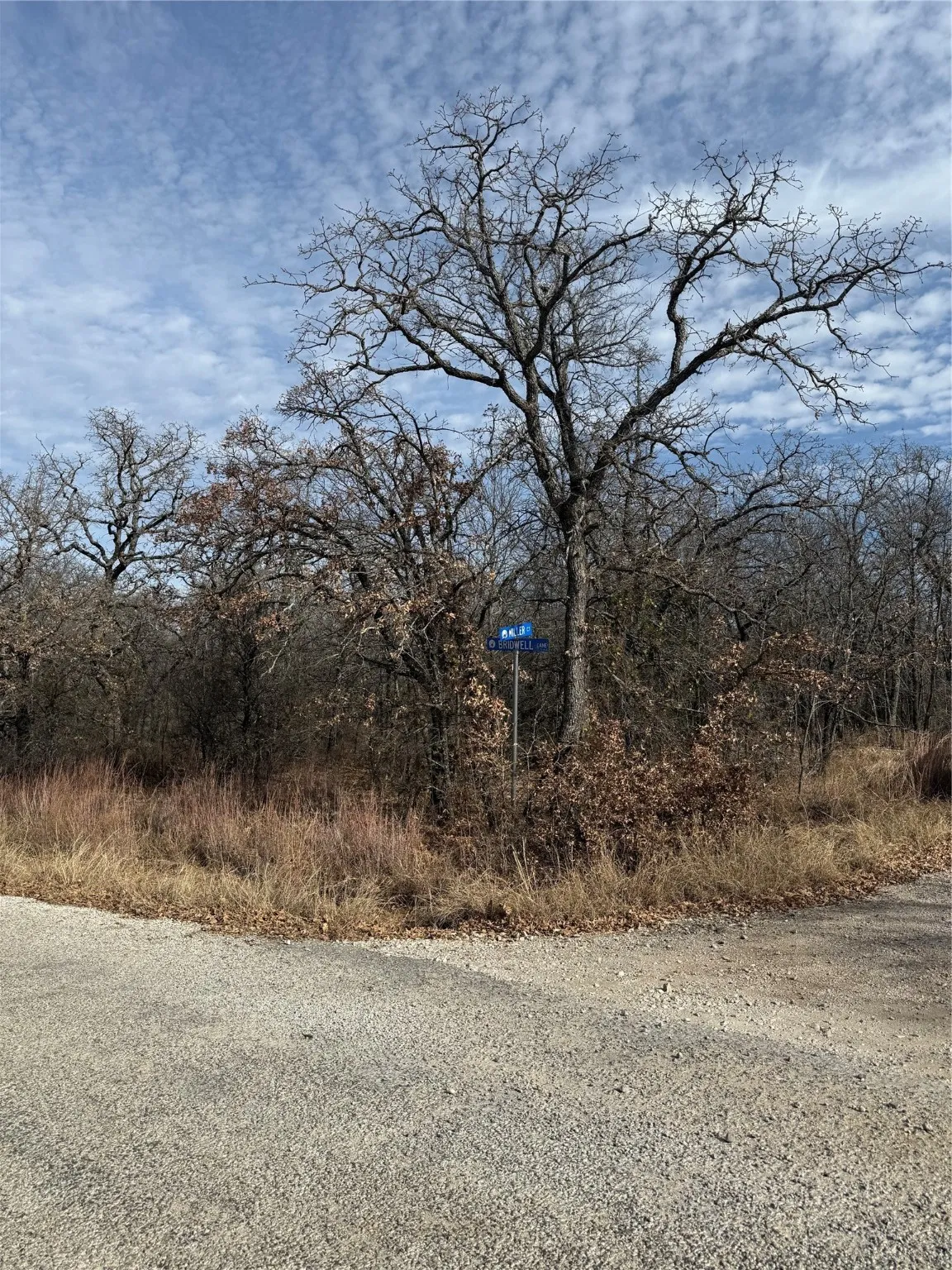 Unimproved Land For Sale in Wise County , 0 Miller Court, Runaway Bay, Texas 76426, 0, 0, Garage spaces, 0 Sqft, built in 0, mls#21144504, Real Estate Agent in Runaway Bay, Homes For Sale in Wise county, Homes For Sale in Runaway Bay, Realtor in Runaway Bay Texas, Real Estate Brokerage Independent Realty Texas, Luminita Cordes Realtor