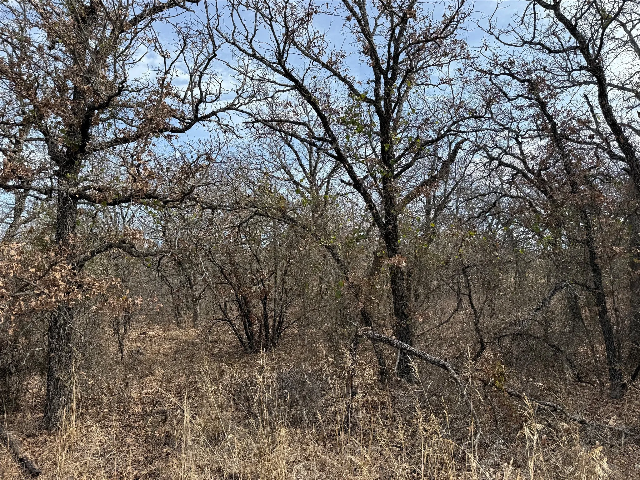 Unimproved Land For Sale in Wise County , 0 Lindsey Lane, Runaway Bay, Texas 76426, 0, 0, Garage spaces, 0 Sqft, built in 0, Price $20,000, mls#21144519, Real Estate Agent in Runaway Bay, Homes For Sale in Wise county, Homes For Sale in Runaway Bay, Realtor in Runaway Bay Texas, Real Estate Brokerage Independent Realty Texas, Luminita Cordes Realtor