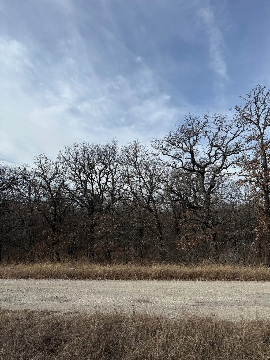Unimproved Land For Sale in Wise County , 0 Lindsey Lane, Runaway Bay, Texas 76426, 0, 0, Garage spaces, 0 Sqft, built in 0, Price $20,000, mls#21144519, Real Estate Agent in Runaway Bay, Homes For Sale in Wise county, Homes For Sale in Runaway Bay, Realtor in Runaway Bay Texas, Real Estate Brokerage Independent Realty Texas, Luminita Cordes Realtor