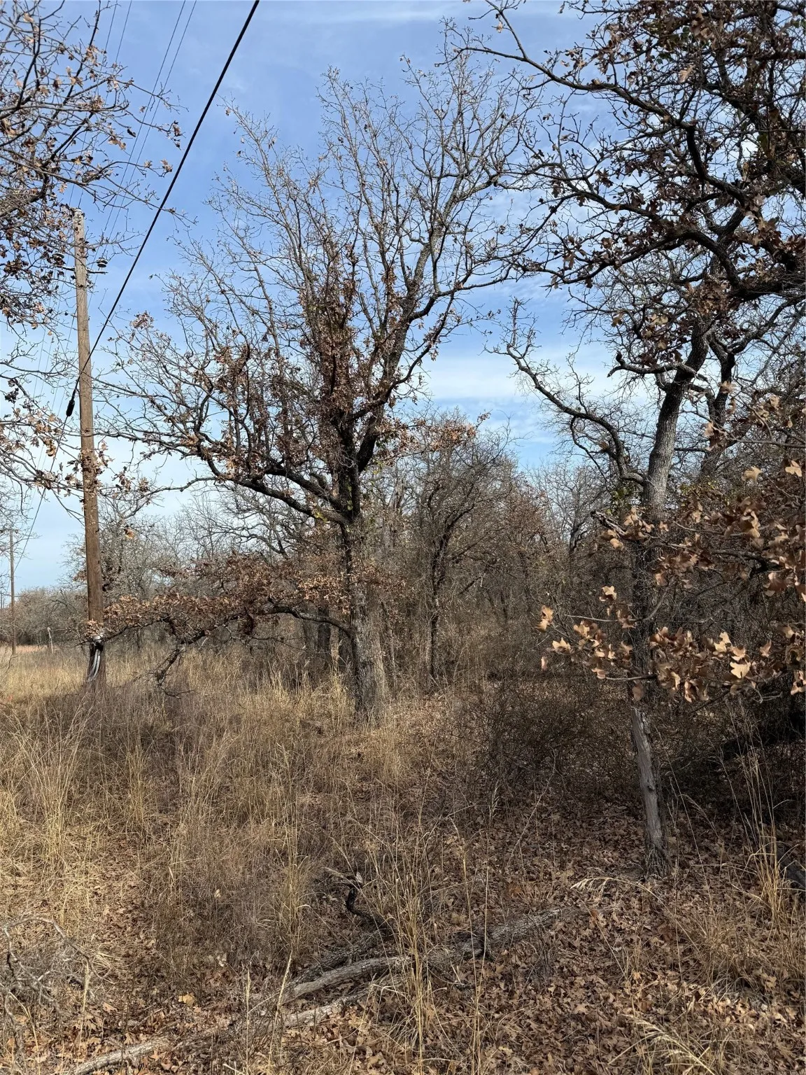 Unimproved Land For Sale in Wise County , 0 Lindsey Lane, Runaway Bay, Texas 76426, 0, 0, Garage spaces, 0 Sqft, built in 0, Price $20,000, mls#21144519, Real Estate Agent in Runaway Bay, Homes For Sale in Wise county, Homes For Sale in Runaway Bay, Realtor in Runaway Bay Texas, Real Estate Brokerage Independent Realty Texas, Luminita Cordes Realtor