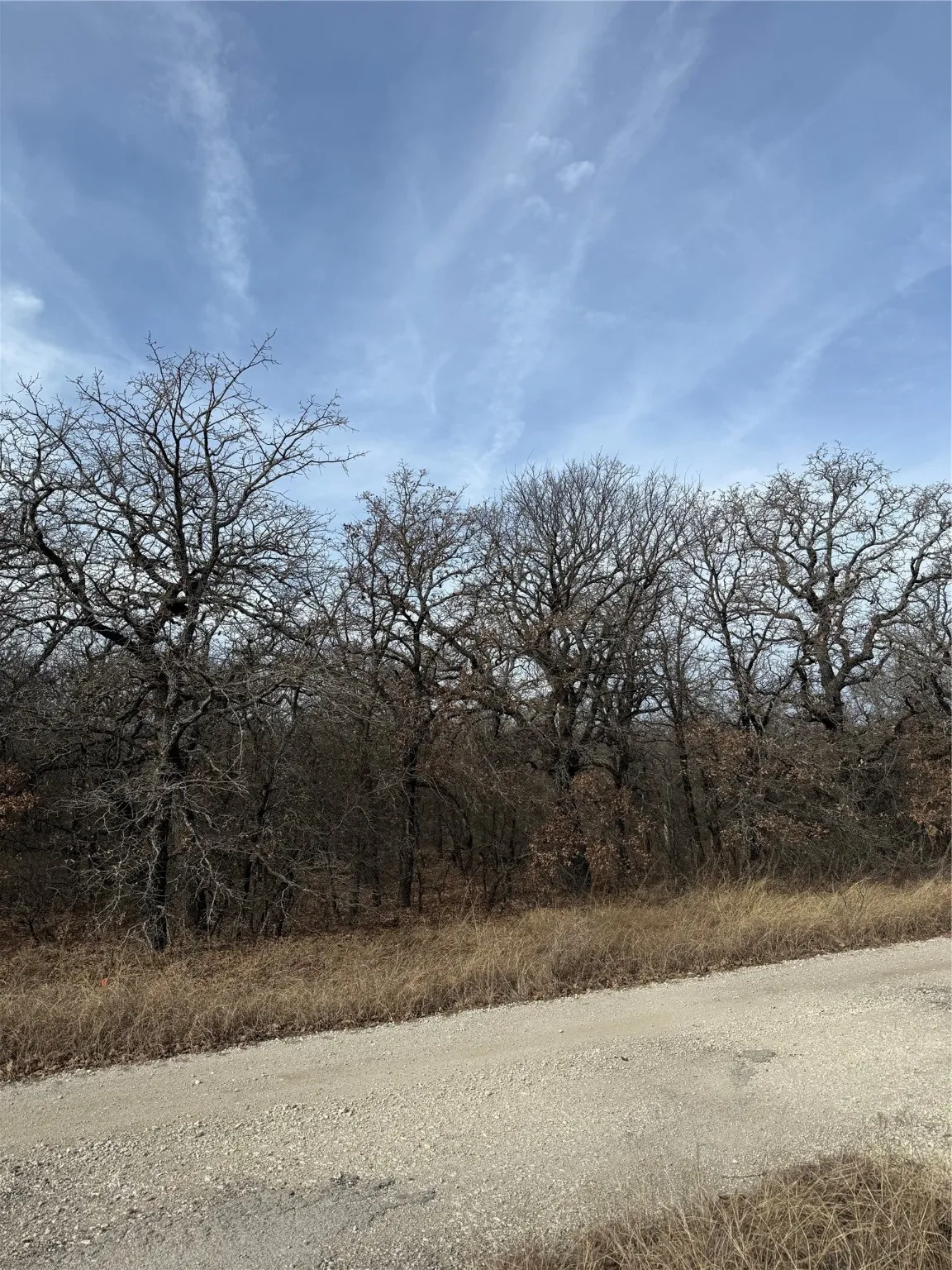 Unimproved Land For Sale in Wise County , 0 Lindsey Lane, Runaway Bay, Texas 76426, 0, 0, Garage spaces, 0 Sqft, built in 0, Price $20,000, mls#21144519, Real Estate Agent in Runaway Bay, Homes For Sale in Wise county, Homes For Sale in Runaway Bay, Realtor in Runaway Bay Texas, Real Estate Brokerage Independent Realty Texas, Luminita Cordes Realtor