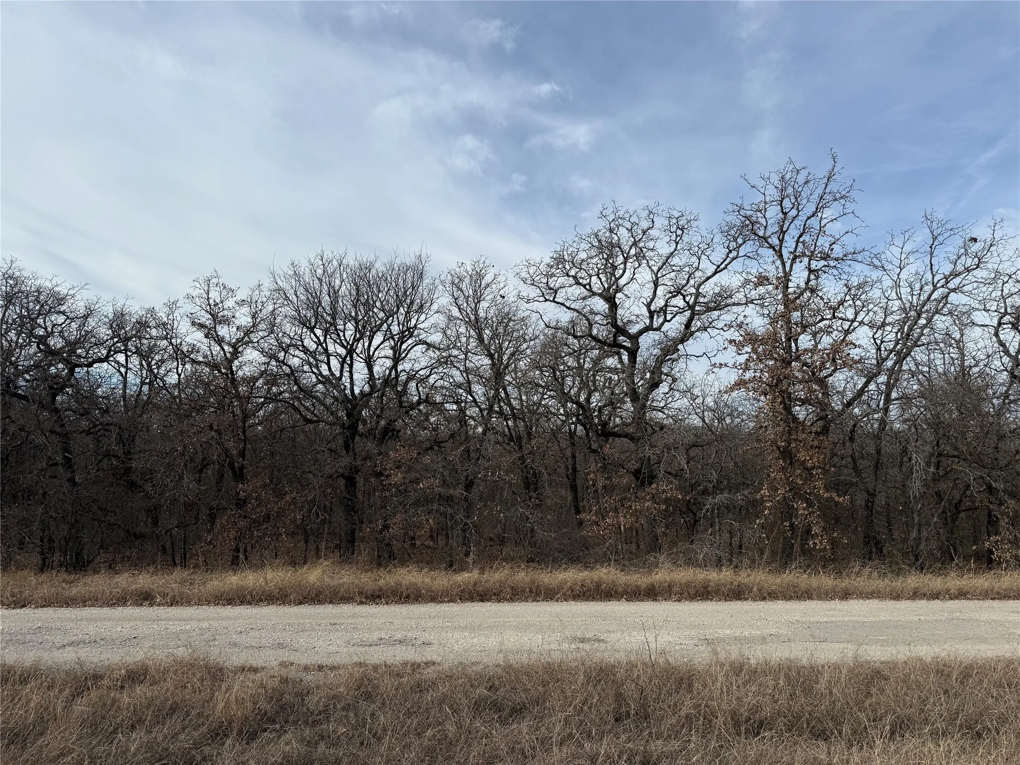 Unimproved Land For Sale in Wise County , 0 Lindsey Lane, Runaway Bay, Texas 76426, 0, 0, Garage spaces, 0 Sqft, built in 0, Price $20,000, mls#21144519, Real Estate Agent in Runaway Bay, Homes For Sale in Wise county, Homes For Sale in Runaway Bay, Realtor in Runaway Bay Texas, Real Estate Brokerage Independent Realty Texas, Luminita Cordes Realtor