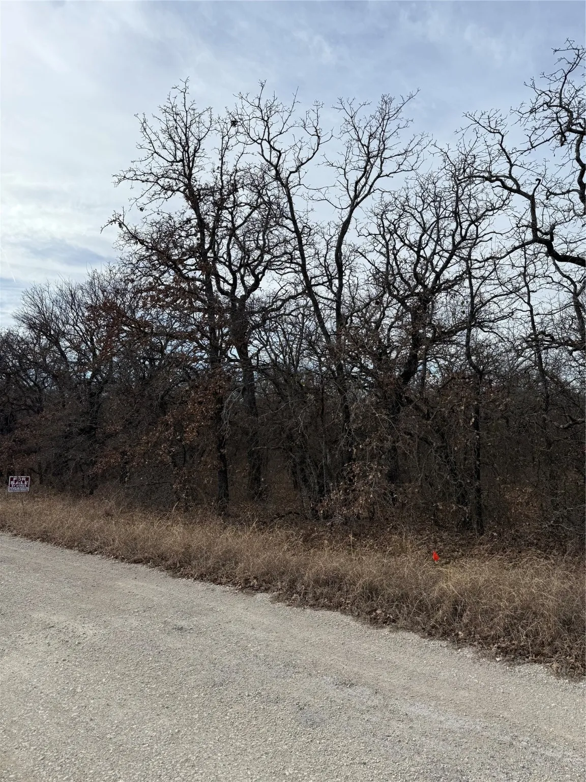Unimproved Land For Sale in Wise County , 0 Lindsey Lane, Runaway Bay, Texas 76426, 0, 0, Garage spaces, 0 Sqft, built in 0, Price $20,000, mls#21144519, Real Estate Agent in Runaway Bay, Homes For Sale in Wise county, Homes For Sale in Runaway Bay, Realtor in Runaway Bay Texas, Real Estate Brokerage Independent Realty Texas, Luminita Cordes Realtor