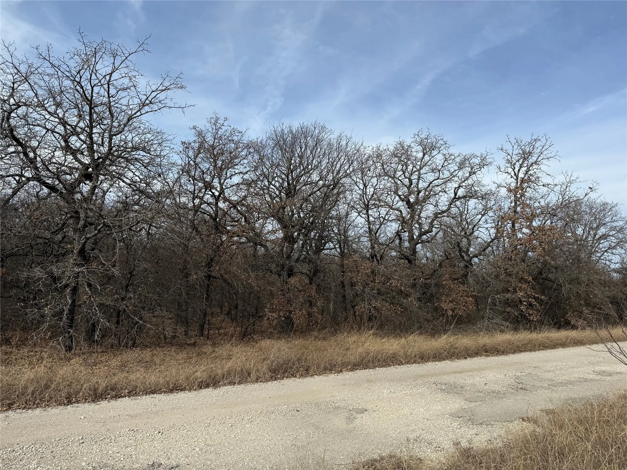 Unimproved Land For Sale in Wise County , 0 Lindsey Lane, Runaway Bay, Texas 76426, 0, 0, Garage spaces, 0 Sqft, built in 0, Price $20,000, mls#21144519, Real Estate Agent in Runaway Bay, Homes For Sale in Wise county, Homes For Sale in Runaway Bay, Realtor in Runaway Bay Texas, Real Estate Brokerage Independent Realty Texas, Luminita Cordes Realtor