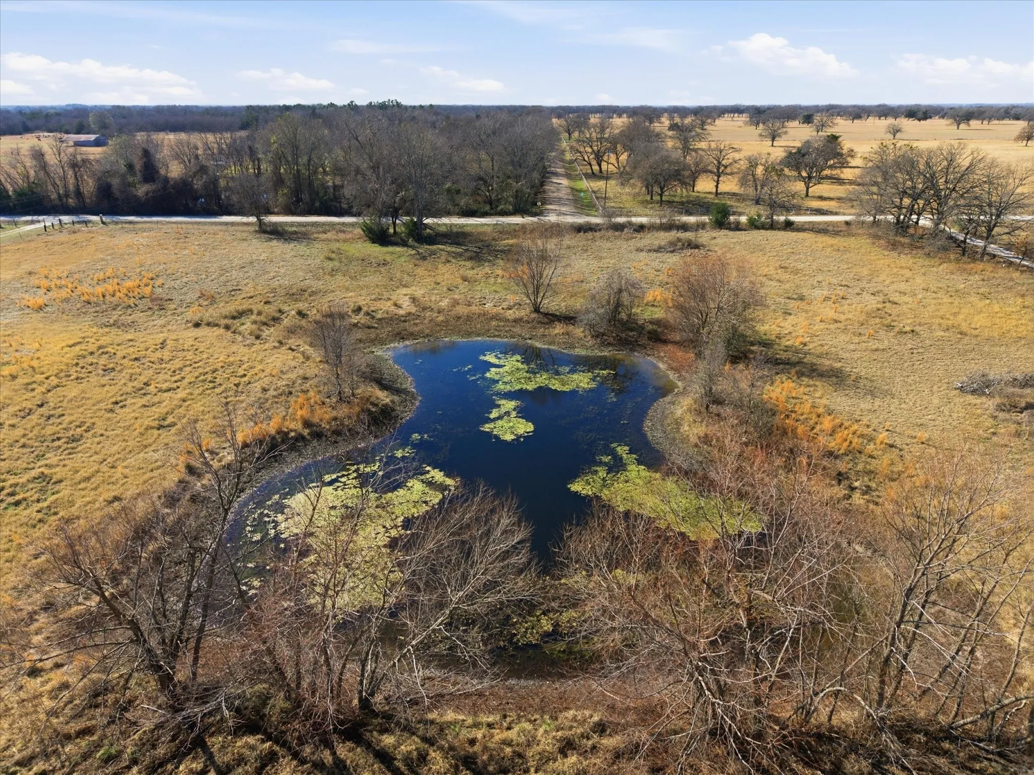Overview of rural landscape featuring a nearby body of water