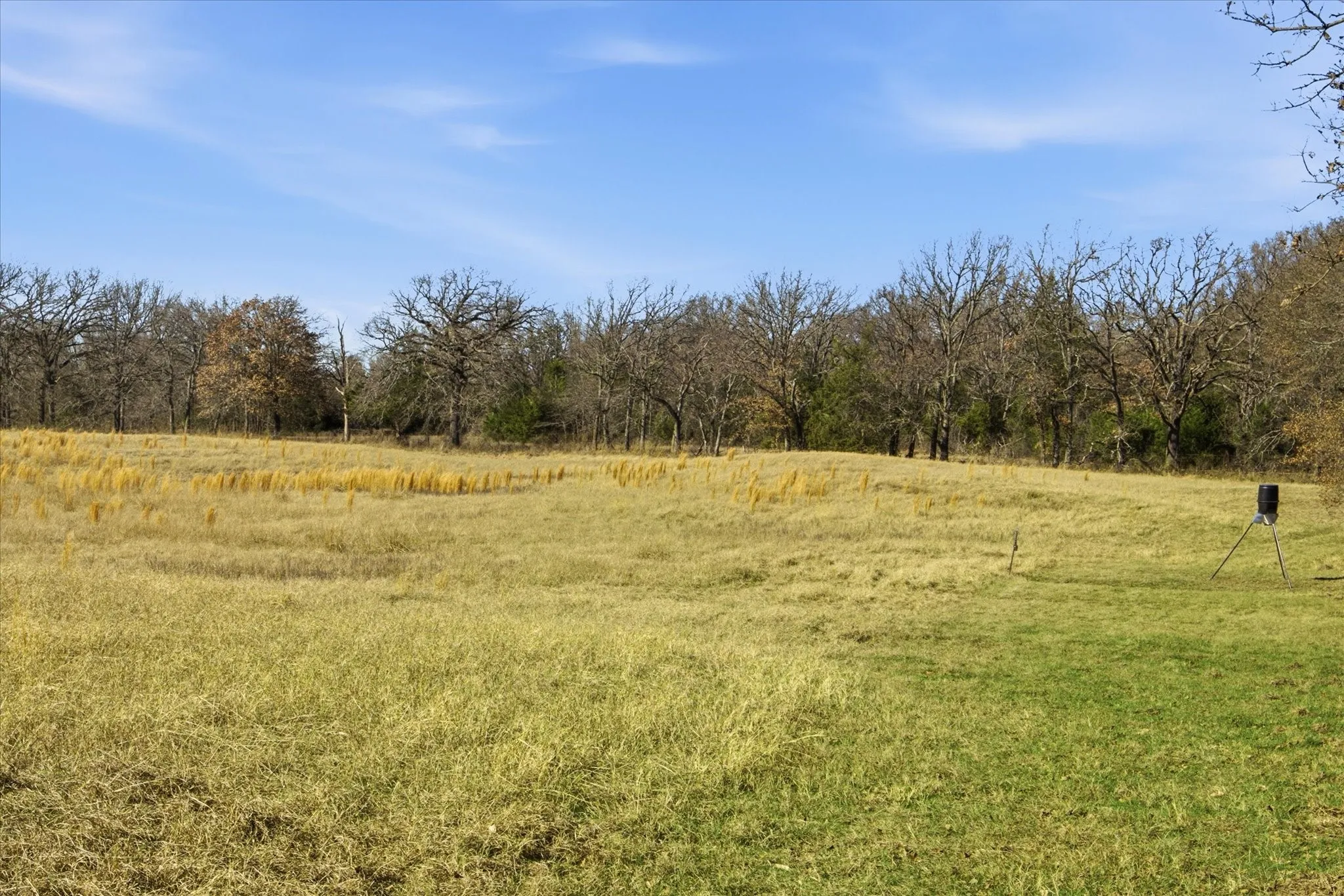 View of wooded area featuring a view of rural / pastoral area