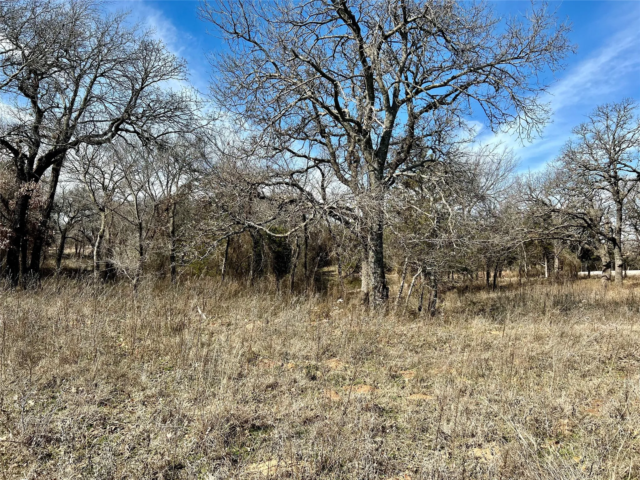 Improved Land For Sale in Montague County , 0 Blackjack Parkway, Nocona, Texas 76255, 0, 0, Garage spaces, 0 Sqft, built in 0, Price $180,000, mls#21144855, Real Estate Agent in Nocona, Homes For Sale in Montague county, Homes For Sale in Nocona, Realtor in Nocona Texas, Real Estate Brokerage Independent Realty Texas, Luminita Cordes Realtor