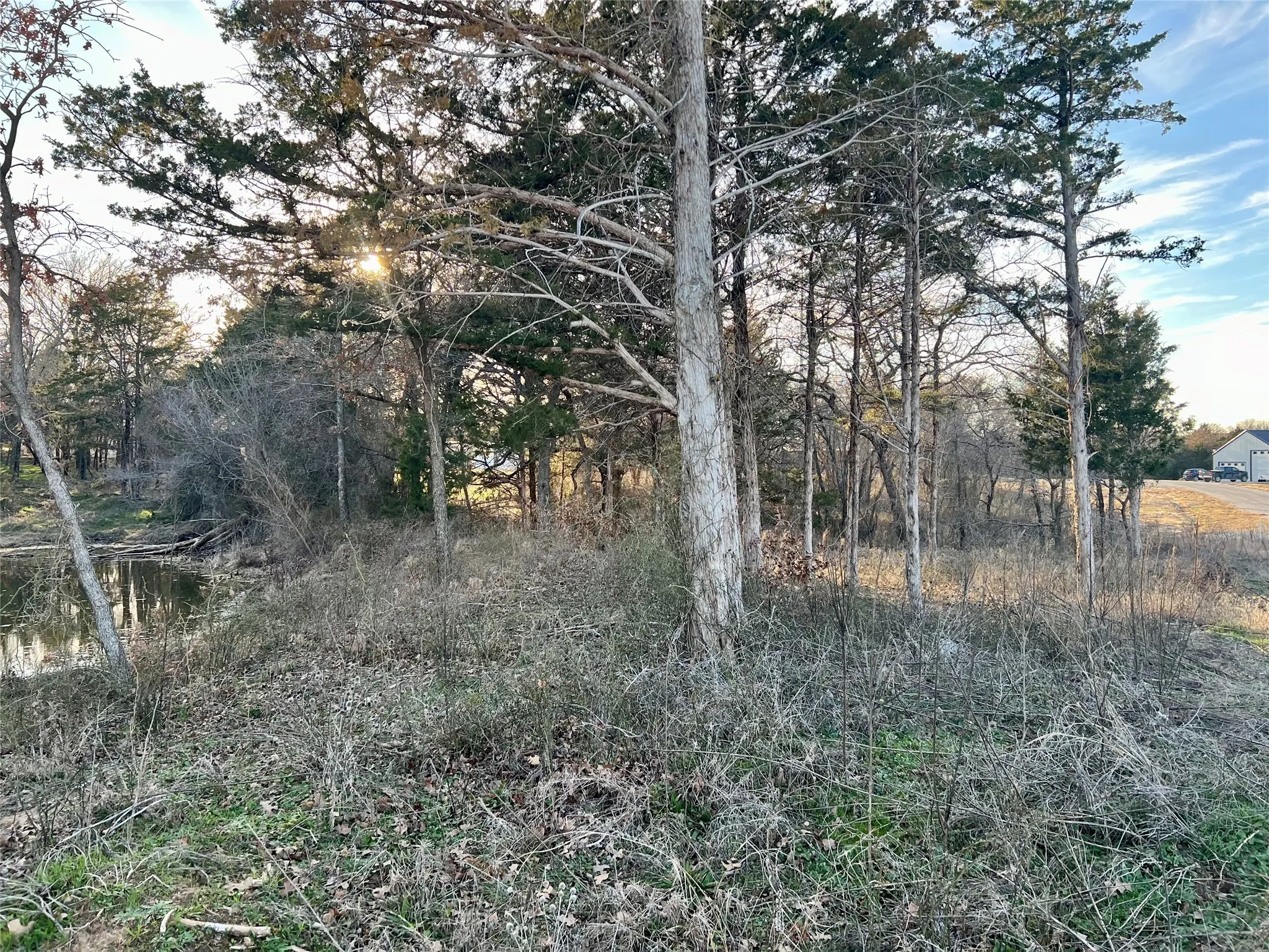 Improved Land For Sale in Montague County , 0 Blackjack Parkway, Nocona, Texas 76255, 0, 0, Garage spaces, 0 Sqft, built in 0, Price $180,000, mls#21144855, Real Estate Agent in Nocona, Homes For Sale in Montague county, Homes For Sale in Nocona, Realtor in Nocona Texas, Real Estate Brokerage Independent Realty Texas, Luminita Cordes Realtor