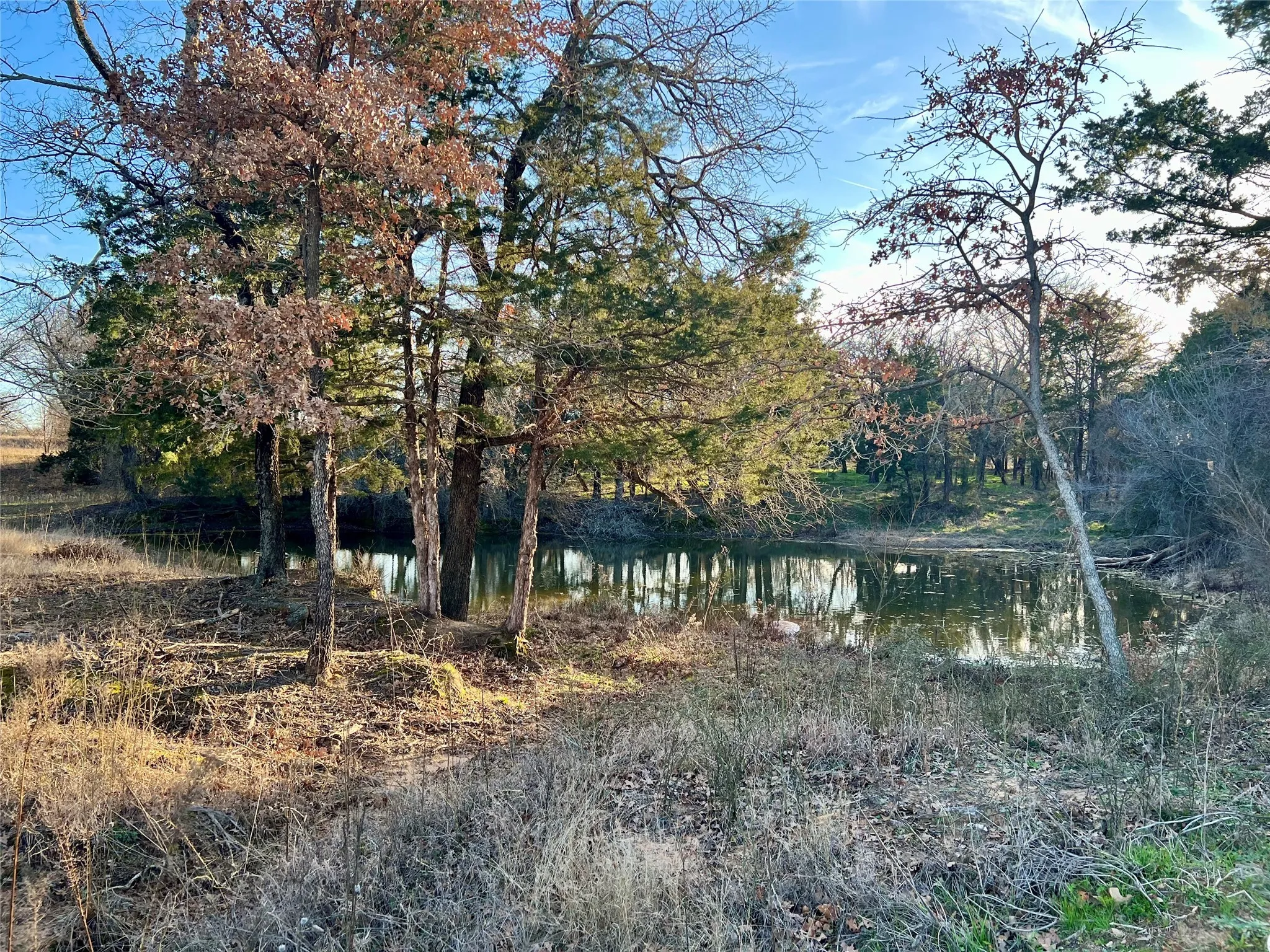 Improved Land For Sale in Montague County , 0 Blackjack Parkway, Nocona, Texas 76255, 0, 0, Garage spaces, 0 Sqft, built in 0, Price $180,000, mls#21144855, Real Estate Agent in Nocona, Homes For Sale in Montague county, Homes For Sale in Nocona, Realtor in Nocona Texas, Real Estate Brokerage Independent Realty Texas, Luminita Cordes Realtor