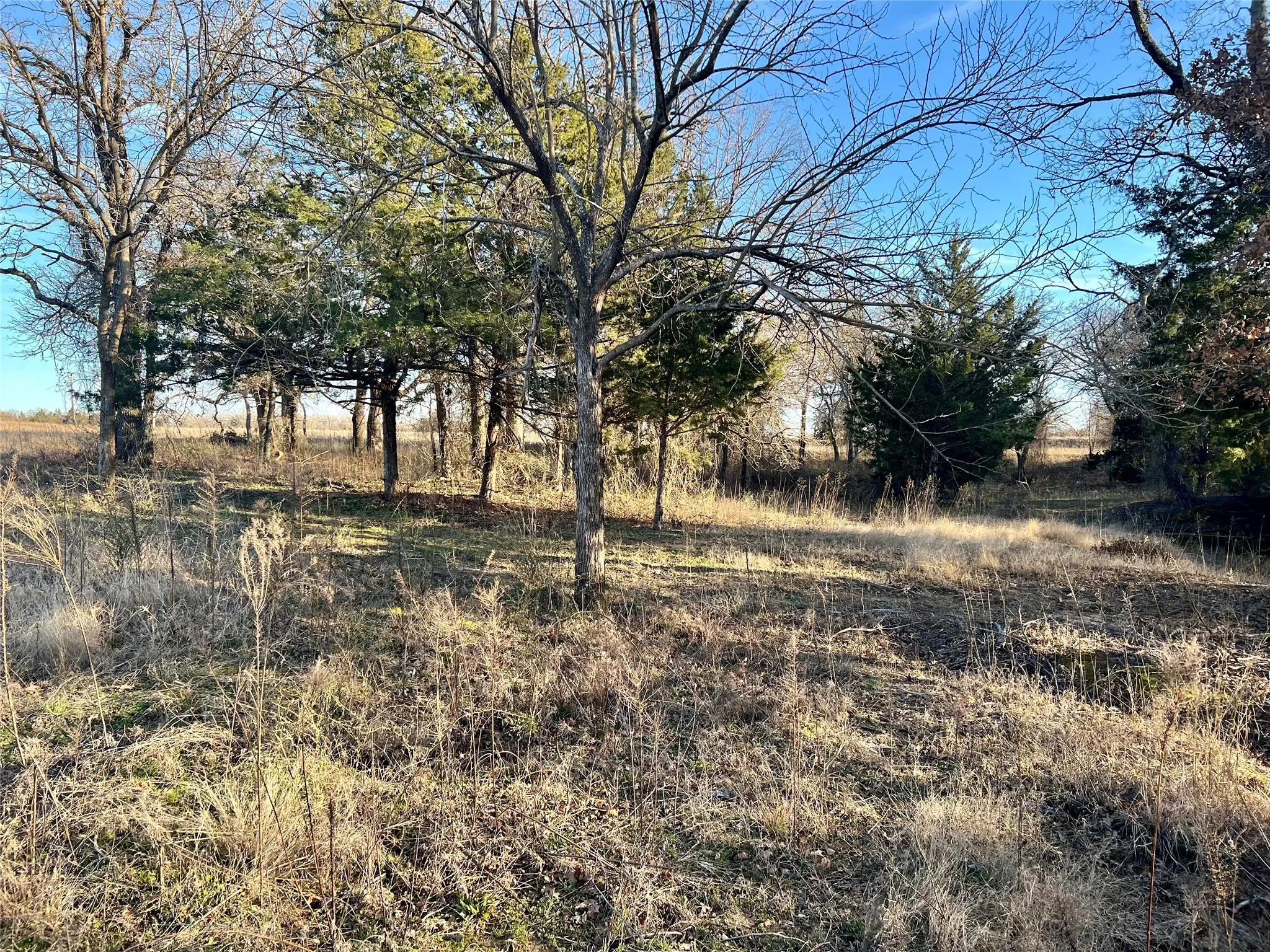 Improved Land For Sale in Montague County , 0 Blackjack Parkway, Nocona, Texas 76255, 0, 0, Garage spaces, 0 Sqft, built in 0, Price $180,000, mls#21144855, Real Estate Agent in Nocona, Homes For Sale in Montague county, Homes For Sale in Nocona, Realtor in Nocona Texas, Real Estate Brokerage Independent Realty Texas, Luminita Cordes Realtor