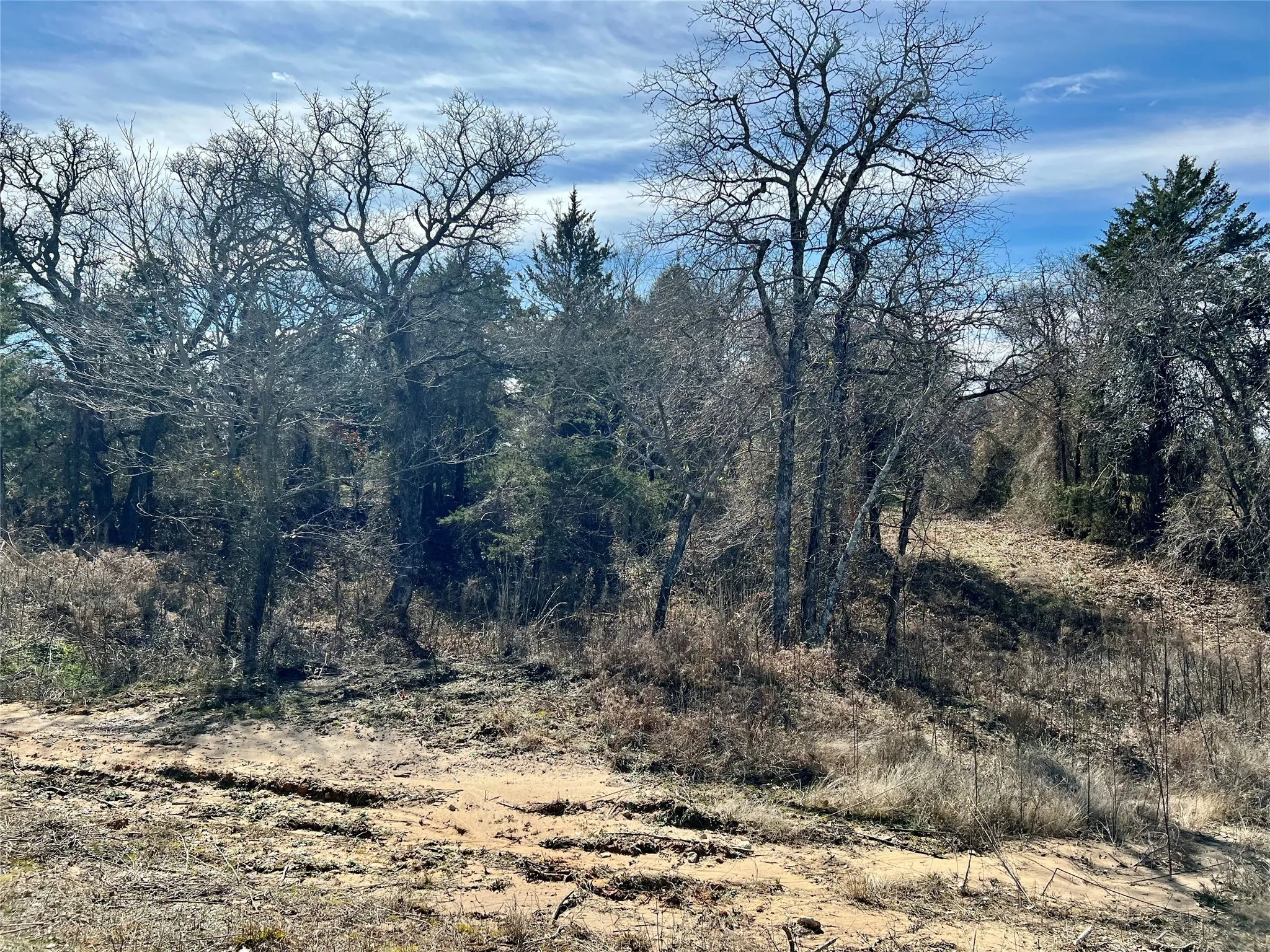 Improved Land For Sale in Montague County , 0 Blackjack Parkway, Nocona, Texas 76255, 0, 0, Garage spaces, 0 Sqft, built in 0, Price $180,000, mls#21144855, Real Estate Agent in Nocona, Homes For Sale in Montague county, Homes For Sale in Nocona, Realtor in Nocona Texas, Real Estate Brokerage Independent Realty Texas, Luminita Cordes Realtor