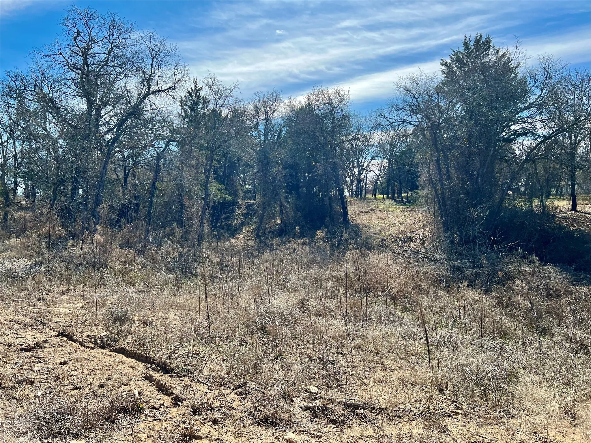 Improved Land For Sale in Montague County , 0 Blackjack Parkway, Nocona, Texas 76255, 0, 0, Garage spaces, 0 Sqft, built in 0, Price $180,000, mls#21144855, Real Estate Agent in Nocona, Homes For Sale in Montague county, Homes For Sale in Nocona, Realtor in Nocona Texas, Real Estate Brokerage Independent Realty Texas, Luminita Cordes Realtor