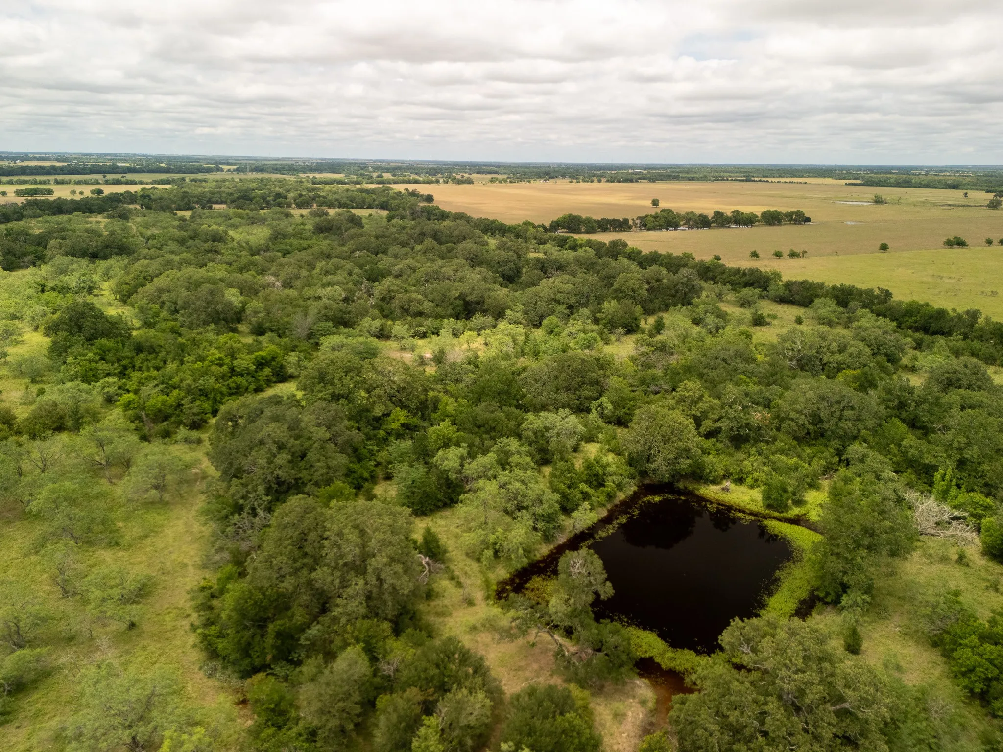 Aerial view of sparsely populated area