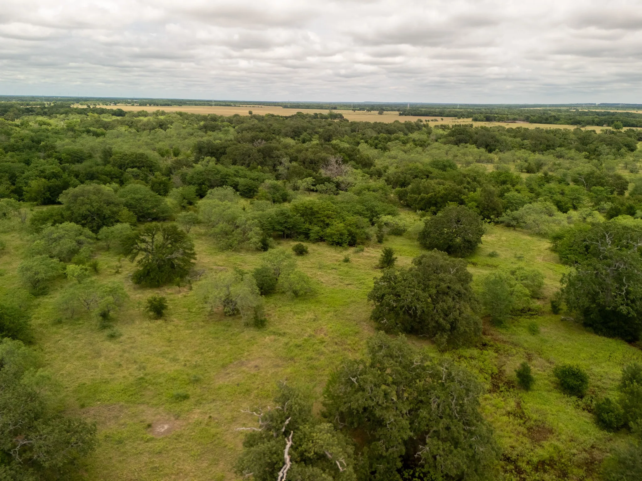 Overview of rural landscape