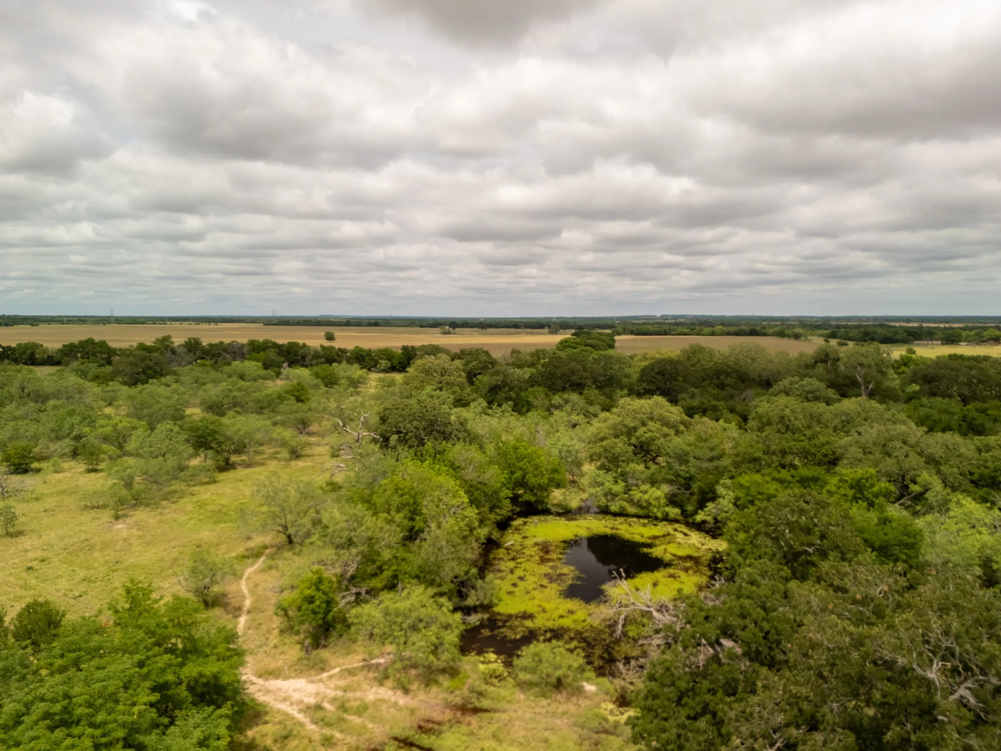 View of rural area