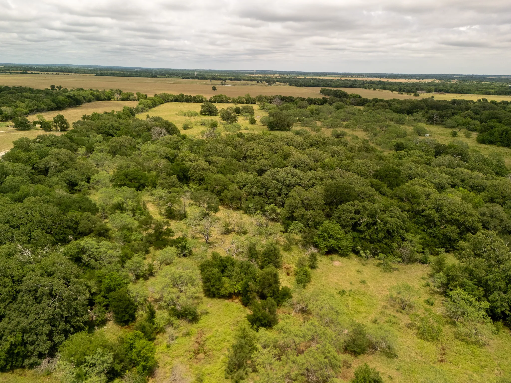 Overview of rural landscape