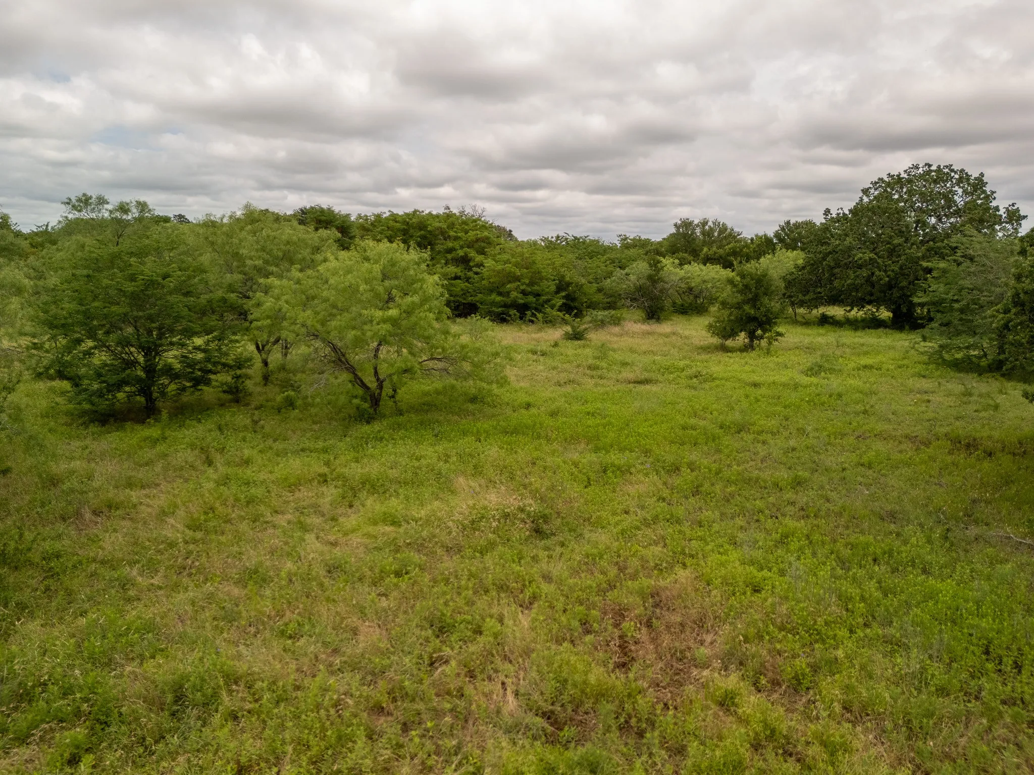 View of local wilderness with rural landscape