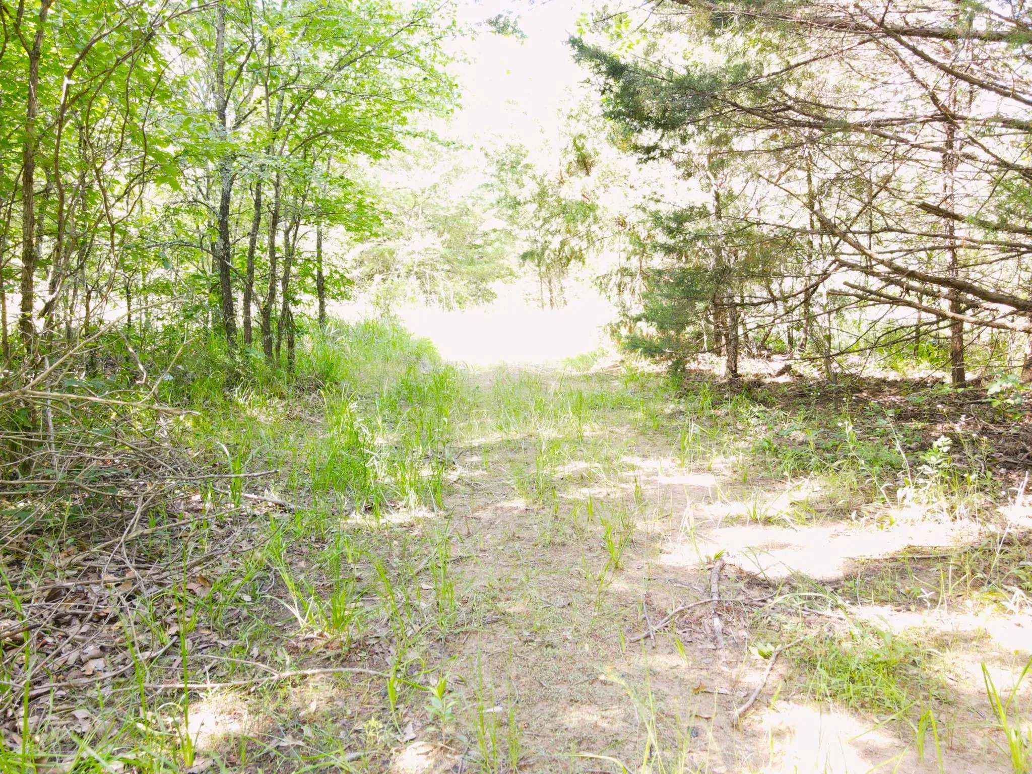View of undeveloped land
