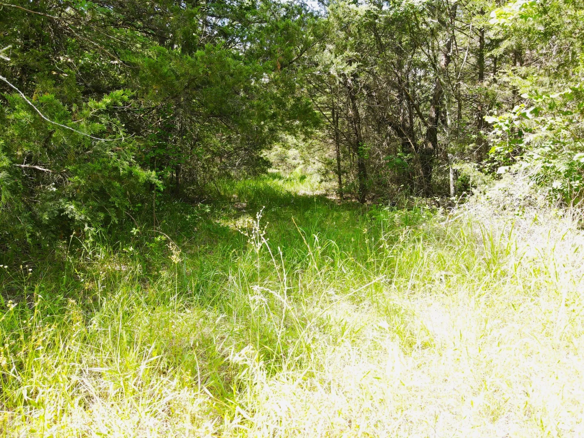 View of nature