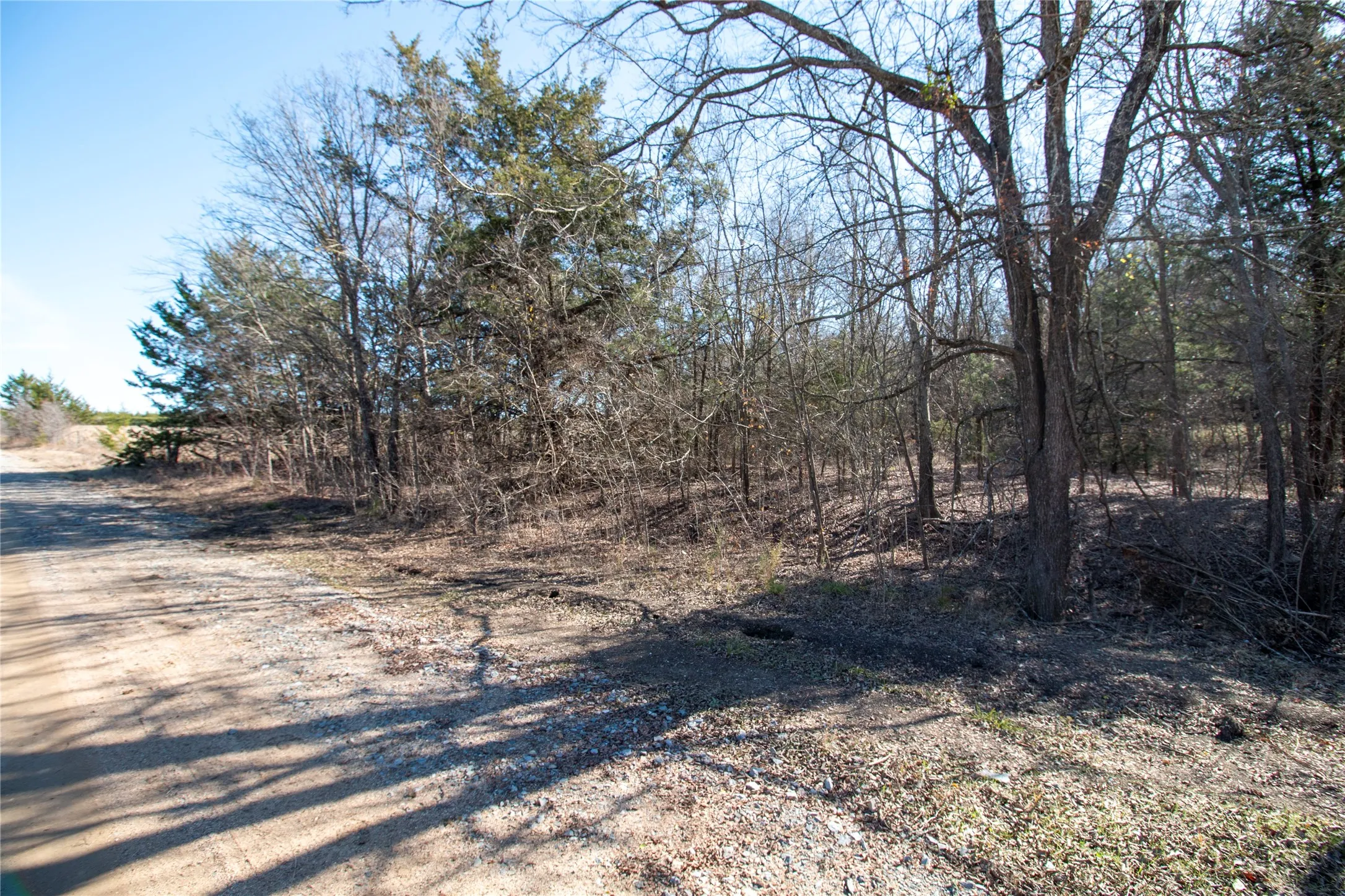 Unimproved Land For Sale in Fannin County , lot4 County Road 2905, Dodd City, Texas 75438, 0, 0, Garage spaces, 0 Sqft, built in 0, Price $86,500, mls#21145096, Real Estate Agent in Dodd City, Homes For Sale in Fannin county, Homes For Sale in Dodd City, Realtor in Dodd City Texas, Real Estate Brokerage Independent Realty Texas, Luminita Cordes Realtor