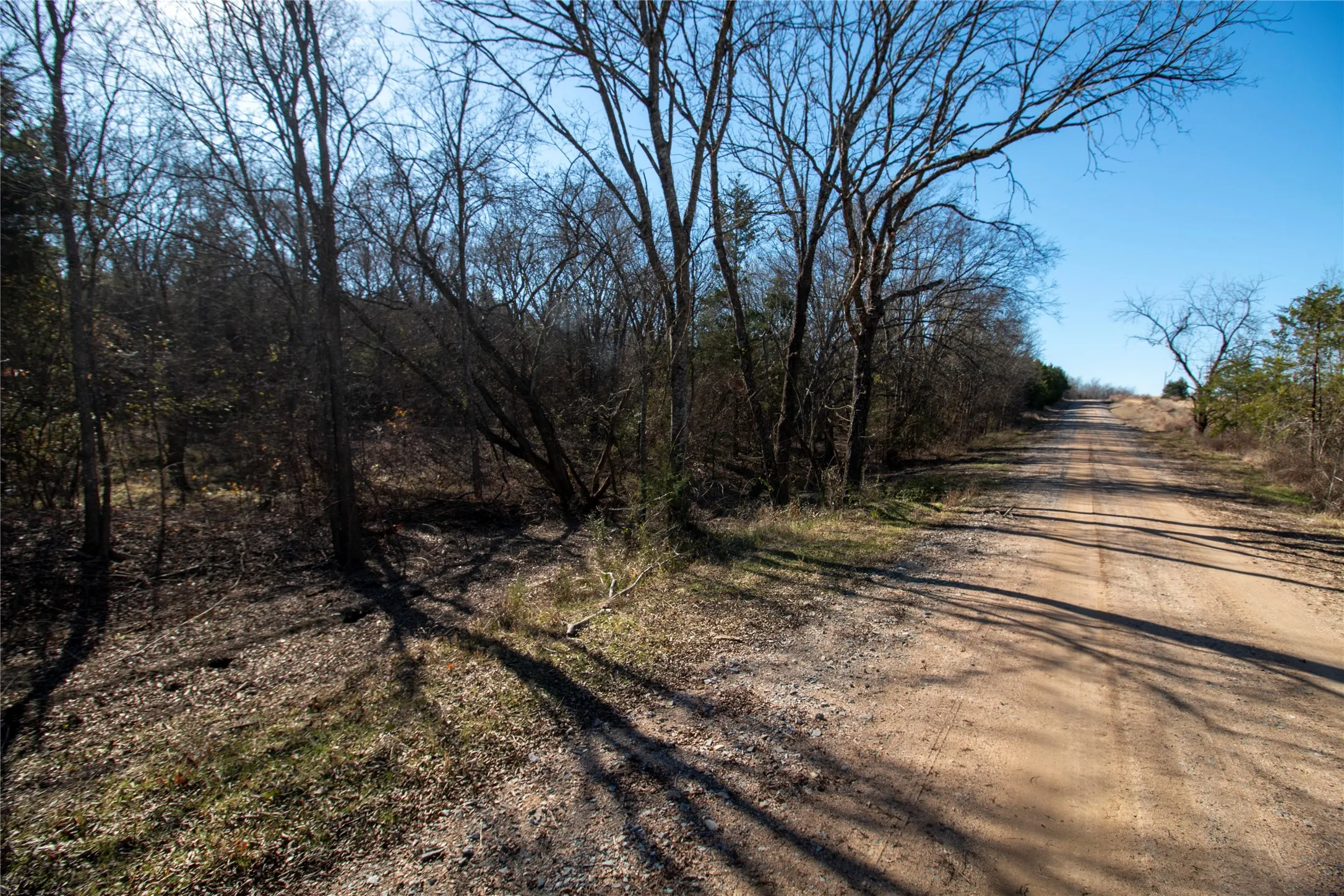 Unimproved Land For Sale in Fannin County , lot4 County Road 2905, Dodd City, Texas 75438, 0, 0, Garage spaces, 0 Sqft, built in 0, Price $86,500, mls#21145096, Real Estate Agent in Dodd City, Homes For Sale in Fannin county, Homes For Sale in Dodd City, Realtor in Dodd City Texas, Real Estate Brokerage Independent Realty Texas, Luminita Cordes Realtor