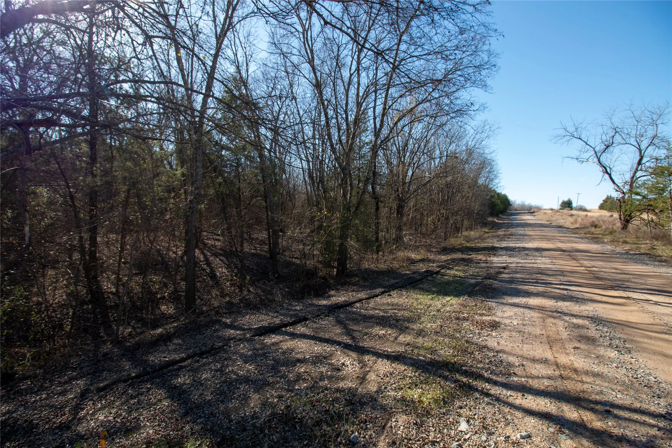 Unimproved Land For Sale in Fannin County , lot4 County Road 2905, Dodd City, Texas 75438, 0, 0, Garage spaces, 0 Sqft, built in 0, Price $86,500, mls#21145096, Real Estate Agent in Dodd City, Homes For Sale in Fannin county, Homes For Sale in Dodd City, Realtor in Dodd City Texas, Real Estate Brokerage Independent Realty Texas, Luminita Cordes Realtor