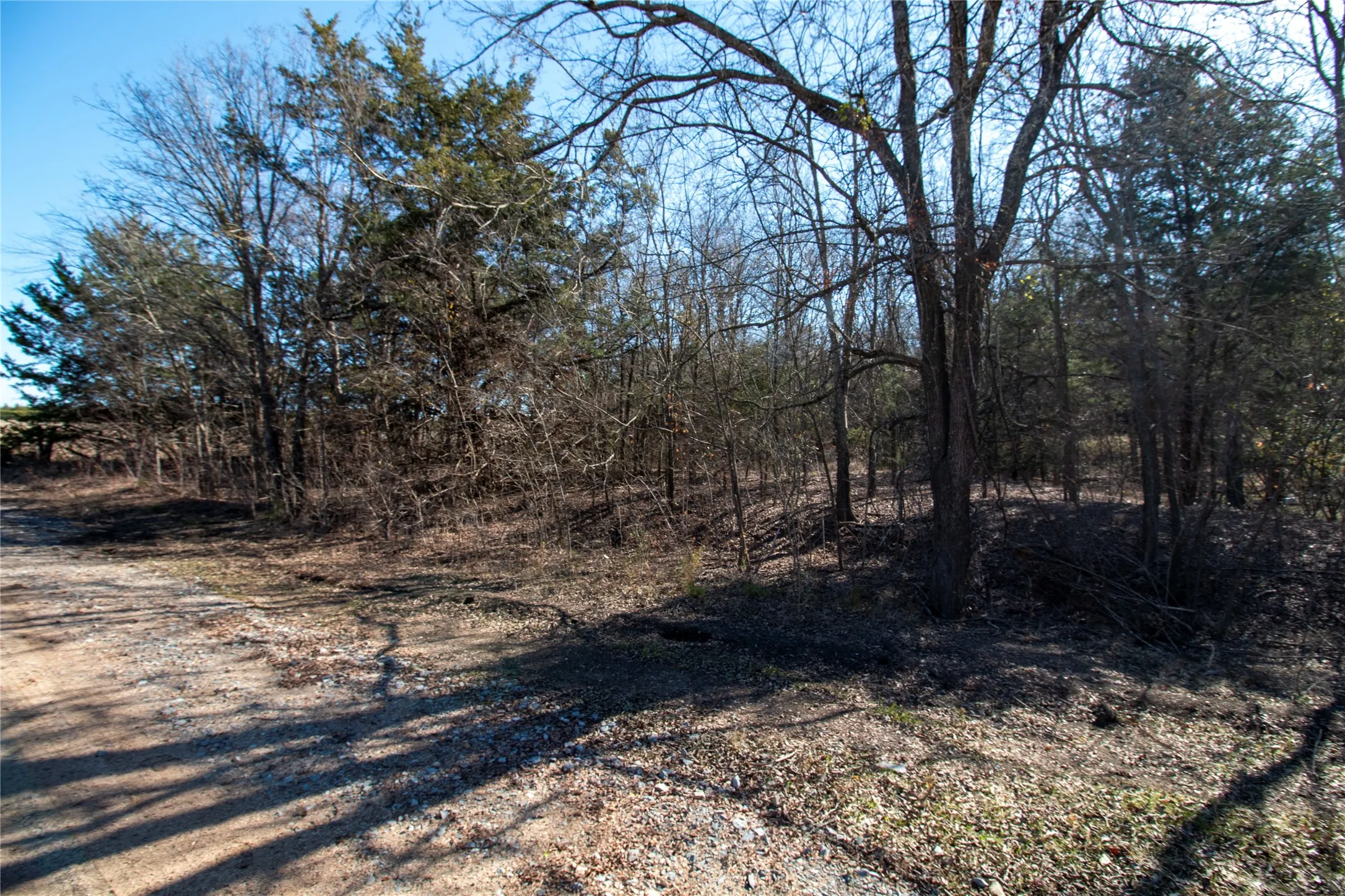 Unimproved Land For Sale in Fannin County , lot4 County Road 2905, Dodd City, Texas 75438, 0, 0, Garage spaces, 0 Sqft, built in 0, Price $86,500, mls#21145096, Real Estate Agent in Dodd City, Homes For Sale in Fannin county, Homes For Sale in Dodd City, Realtor in Dodd City Texas, Real Estate Brokerage Independent Realty Texas, Luminita Cordes Realtor
