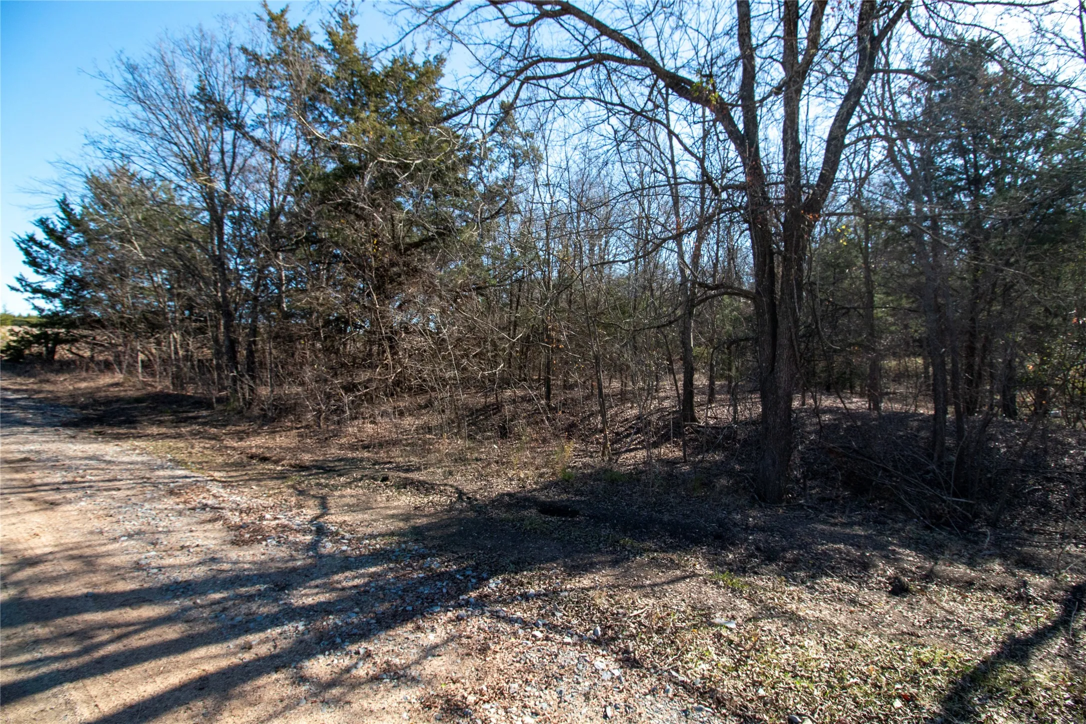 Unimproved Land For Sale in Fannin County , lot4 County Road 2905, Dodd City, Texas 75438, 0, 0, Garage spaces, 0 Sqft, built in 0, Price $86,500, mls#21145096, Real Estate Agent in Dodd City, Homes For Sale in Fannin county, Homes For Sale in Dodd City, Realtor in Dodd City Texas, Real Estate Brokerage Independent Realty Texas, Luminita Cordes Realtor