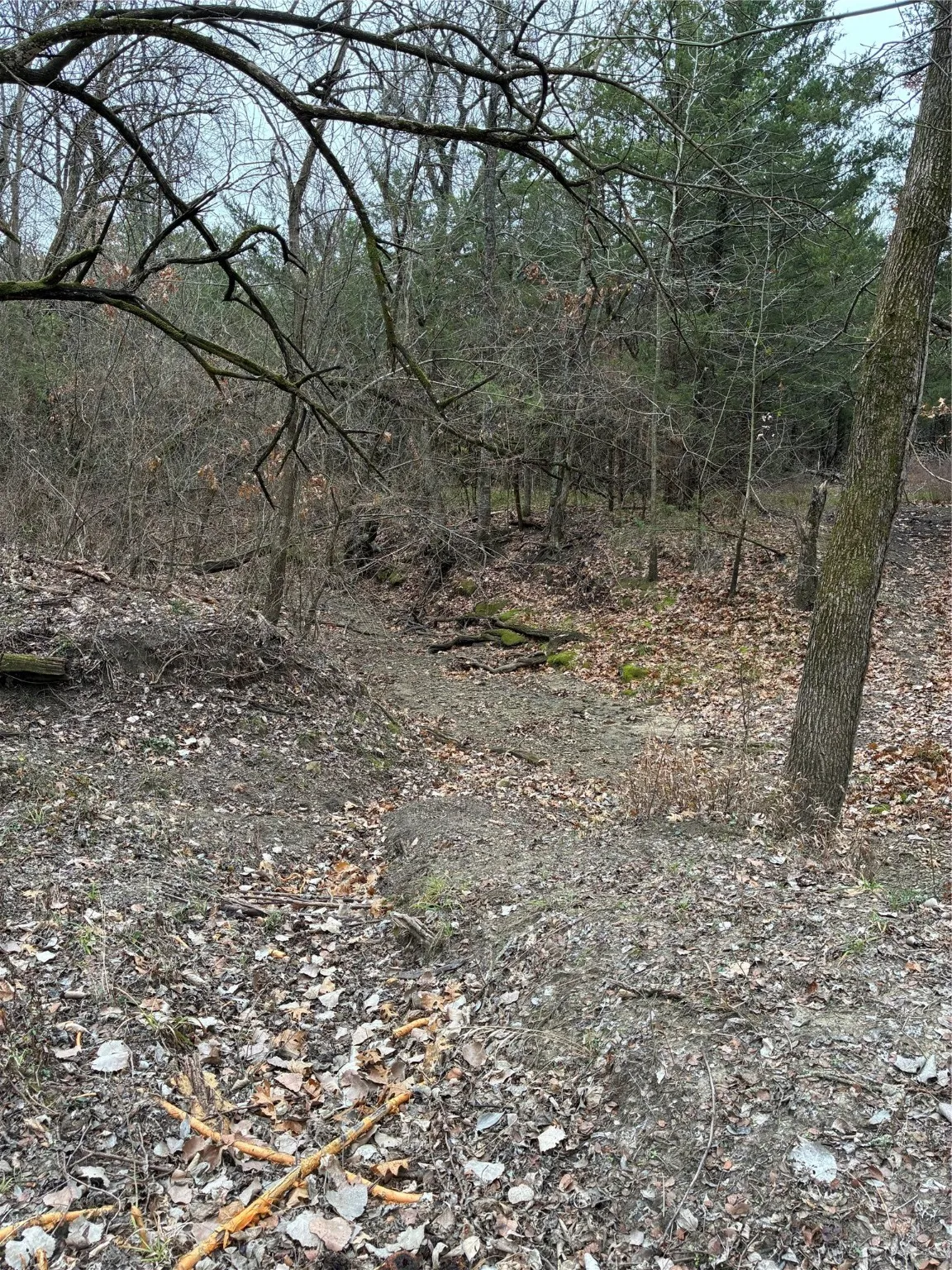 Unimproved Land For Sale in Fannin County , 23 County Road 2950, Windom, Texas 75306, 0, 0, Garage spaces, 0 Sqft, built in 0, Price $253,000, mls#21145102, Real Estate Agent in Windom, Homes For Sale in Fannin county, Homes For Sale in Windom, Realtor in Windom Texas, Real Estate Brokerage Independent Realty Texas, Luminita Cordes Realtor
