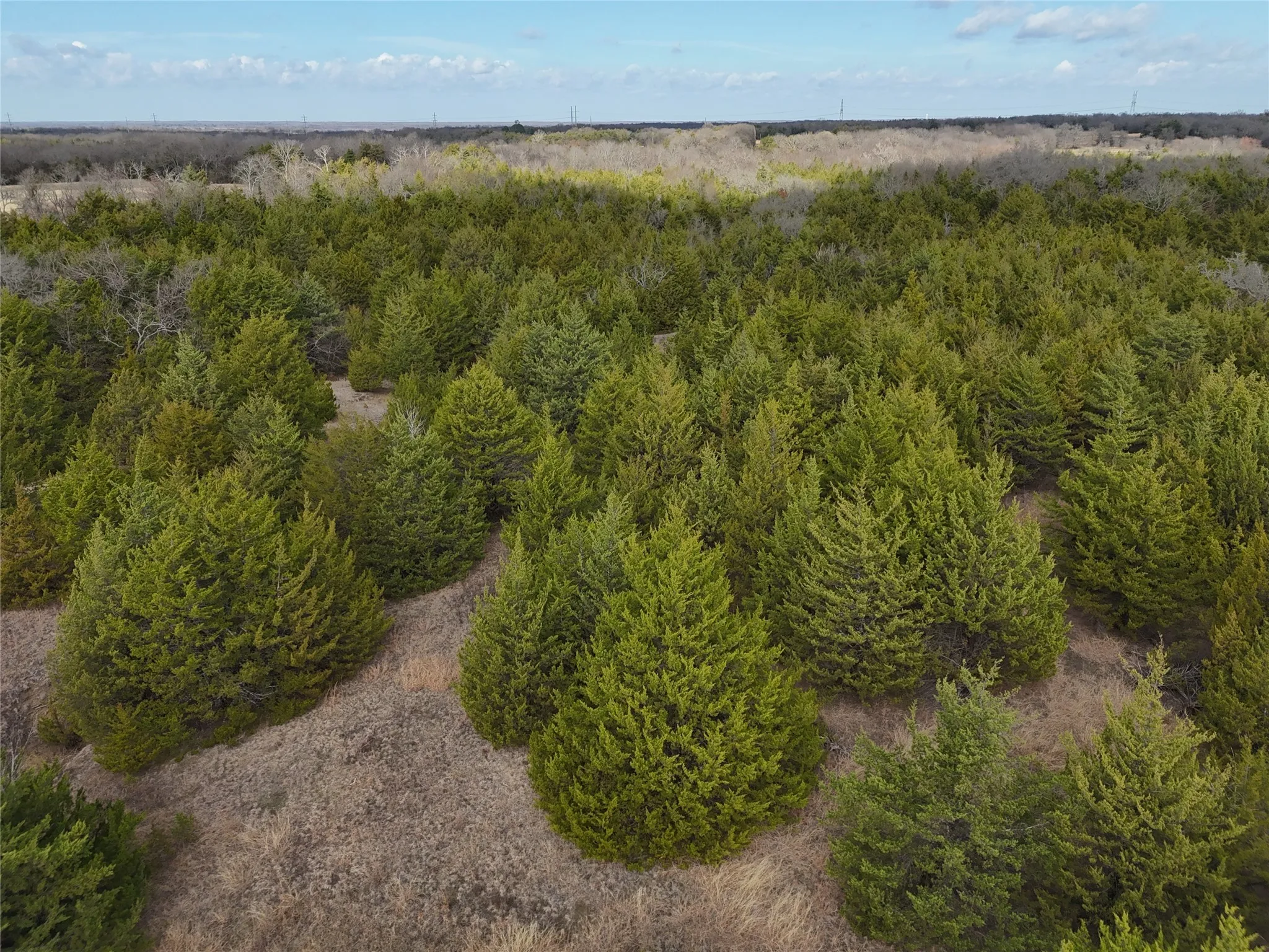 Unimproved Land For Sale in Fannin County , 23 County Road 2950, Windom, Texas 75306, 0, 0, Garage spaces, 0 Sqft, built in 0, Price $253,000, mls#21145102, Real Estate Agent in Windom, Homes For Sale in Fannin county, Homes For Sale in Windom, Realtor in Windom Texas, Real Estate Brokerage Independent Realty Texas, Luminita Cordes Realtor