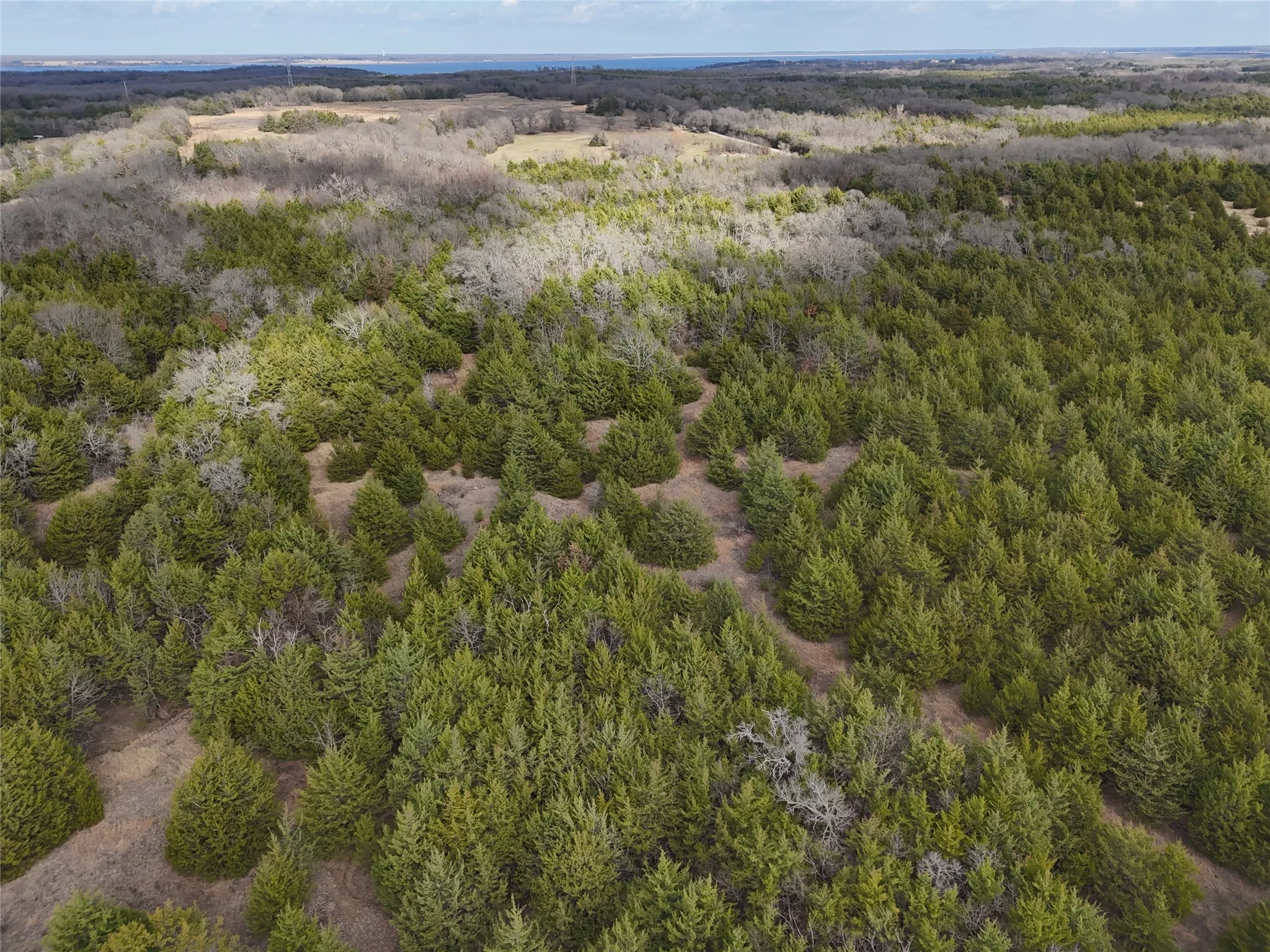 Unimproved Land For Sale in Fannin County , 23 County Road 2950, Windom, Texas 75306, 0, 0, Garage spaces, 0 Sqft, built in 0, Price $253,000, mls#21145102, Real Estate Agent in Windom, Homes For Sale in Fannin county, Homes For Sale in Windom, Realtor in Windom Texas, Real Estate Brokerage Independent Realty Texas, Luminita Cordes Realtor