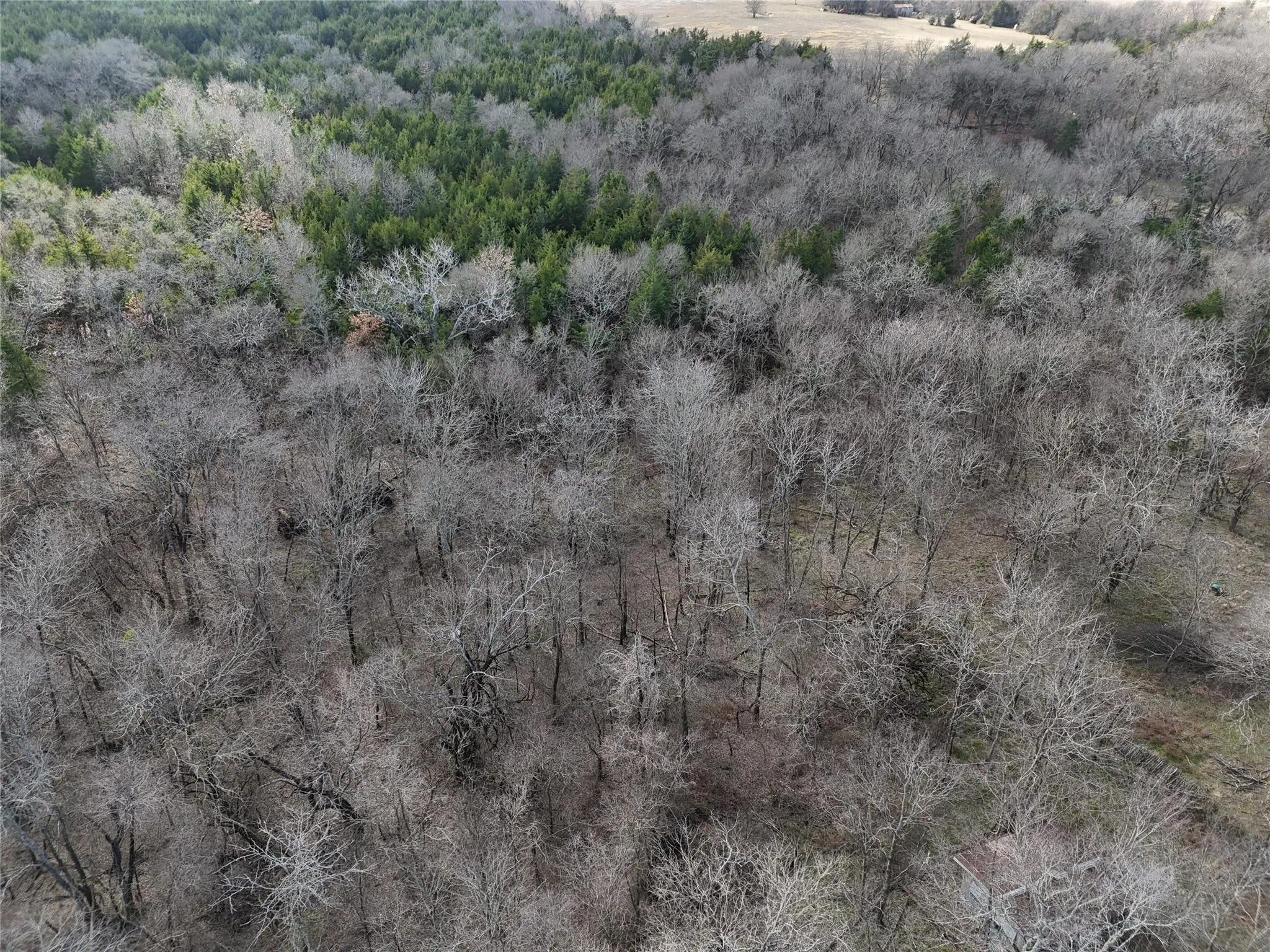 Unimproved Land For Sale in Fannin County , 23 County Road 2950, Windom, Texas 75306, 0, 0, Garage spaces, 0 Sqft, built in 0, Price $253,000, mls#21145102, Real Estate Agent in Windom, Homes For Sale in Fannin county, Homes For Sale in Windom, Realtor in Windom Texas, Real Estate Brokerage Independent Realty Texas, Luminita Cordes Realtor