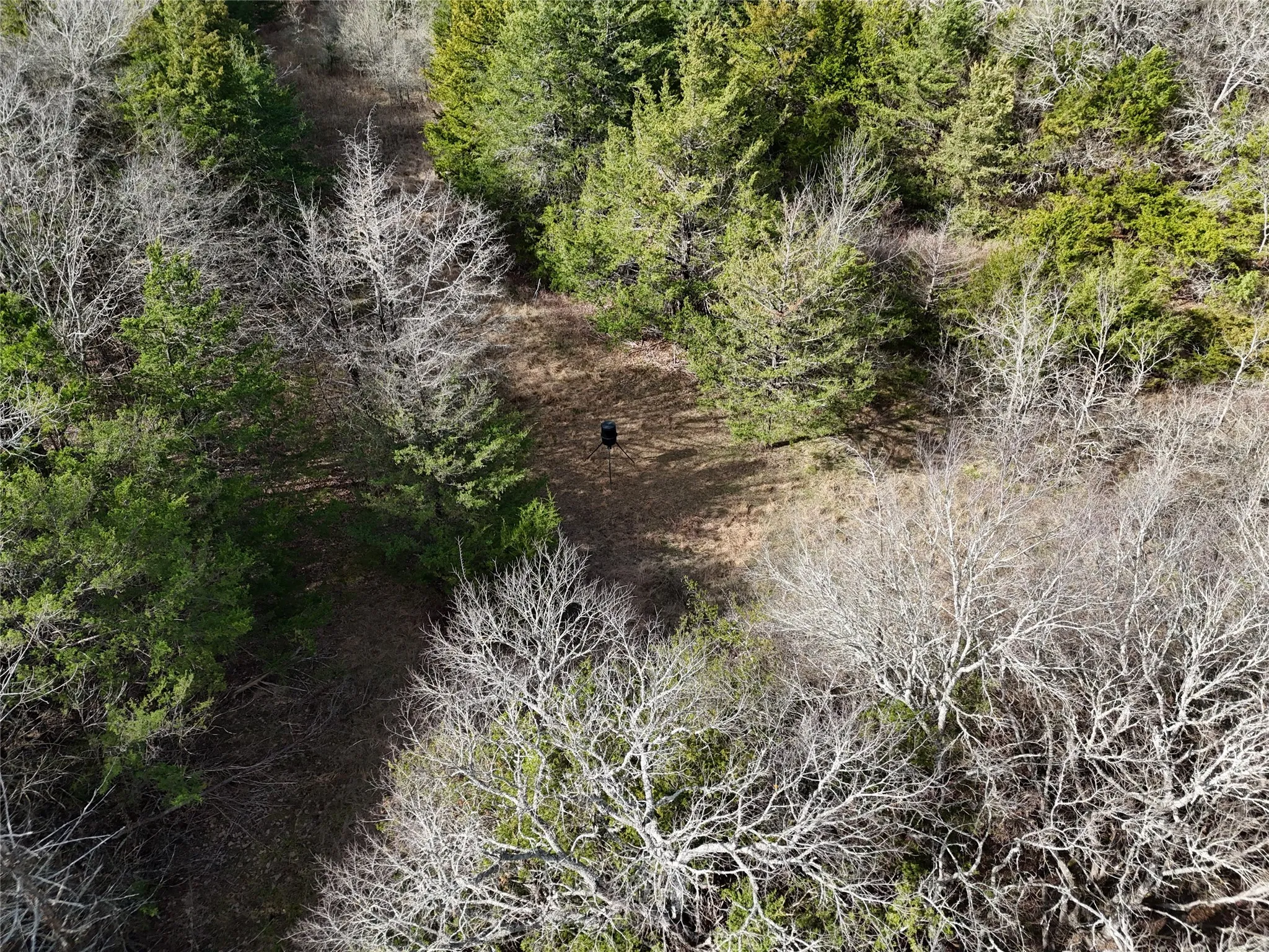 Unimproved Land For Sale in Fannin County , 23 County Road 2950, Windom, Texas 75306, 0, 0, Garage spaces, 0 Sqft, built in 0, Price $253,000, mls#21145102, Real Estate Agent in Windom, Homes For Sale in Fannin county, Homes For Sale in Windom, Realtor in Windom Texas, Real Estate Brokerage Independent Realty Texas, Luminita Cordes Realtor