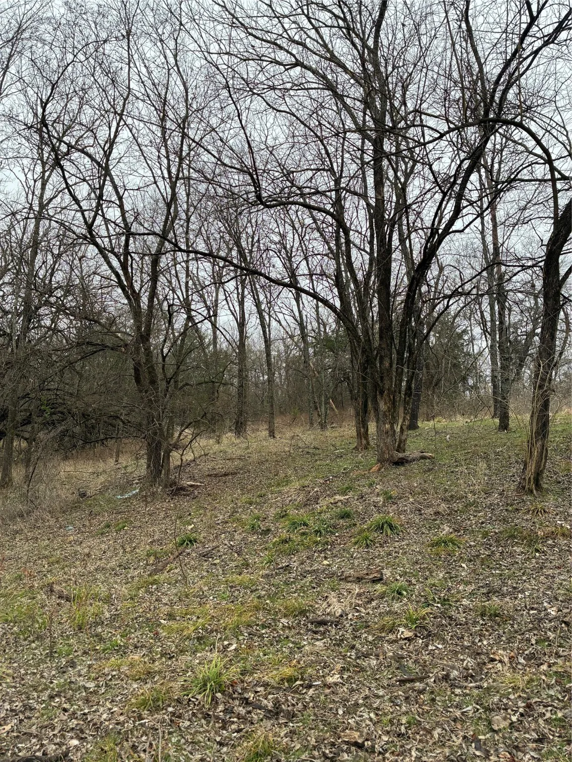 Unimproved Land For Sale in Fannin County , 23 County Road 2950, Windom, Texas 75306, 0, 0, Garage spaces, 0 Sqft, built in 0, Price $253,000, mls#21145102, Real Estate Agent in Windom, Homes For Sale in Fannin county, Homes For Sale in Windom, Realtor in Windom Texas, Real Estate Brokerage Independent Realty Texas, Luminita Cordes Realtor