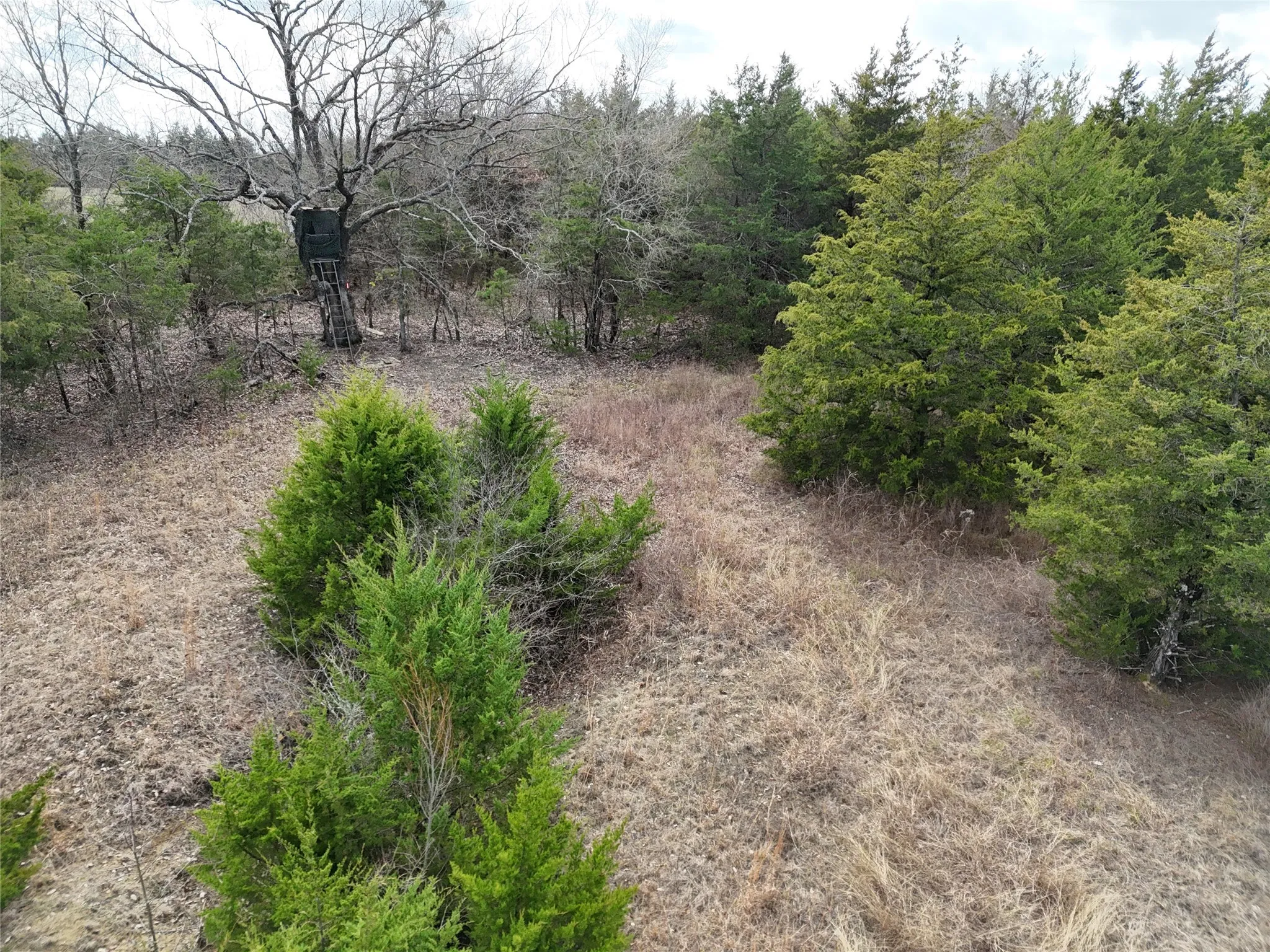 Unimproved Land For Sale in Fannin County , 23 County Road 2950, Windom, Texas 75306, 0, 0, Garage spaces, 0 Sqft, built in 0, Price $253,000, mls#21145102, Real Estate Agent in Windom, Homes For Sale in Fannin county, Homes For Sale in Windom, Realtor in Windom Texas, Real Estate Brokerage Independent Realty Texas, Luminita Cordes Realtor