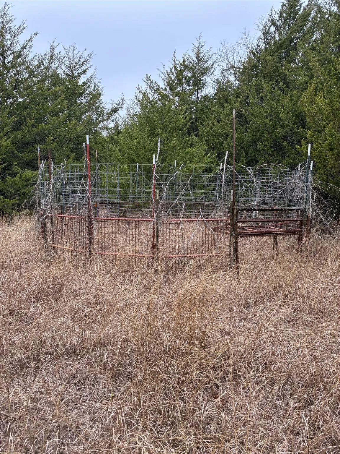 Unimproved Land For Sale in Fannin County , 23 County Road 2950, Windom, Texas 75306, 0, 0, Garage spaces, 0 Sqft, built in 0, Price $253,000, mls#21145102, Real Estate Agent in Windom, Homes For Sale in Fannin county, Homes For Sale in Windom, Realtor in Windom Texas, Real Estate Brokerage Independent Realty Texas, Luminita Cordes Realtor