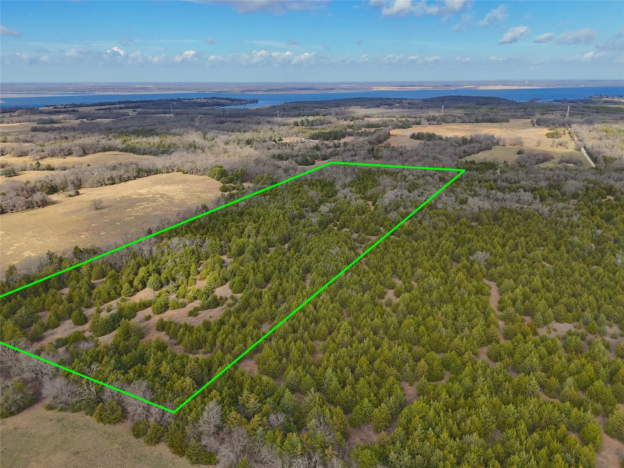 Unimproved Land For Sale in Fannin County , 23 County Road 2950, Windom, Texas 75306, 0, 0, Garage spaces, 0 Sqft, built in 0, Price $253,000, mls#21145102, Real Estate Agent in Windom, Homes For Sale in Fannin county, Homes For Sale in Windom, Realtor in Windom Texas, Real Estate Brokerage Independent Realty Texas, Luminita Cordes Realtor