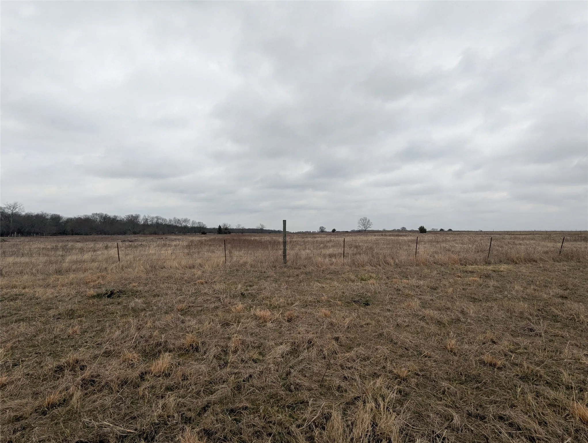 Expansive open field with natural grasses and perimeter fencing