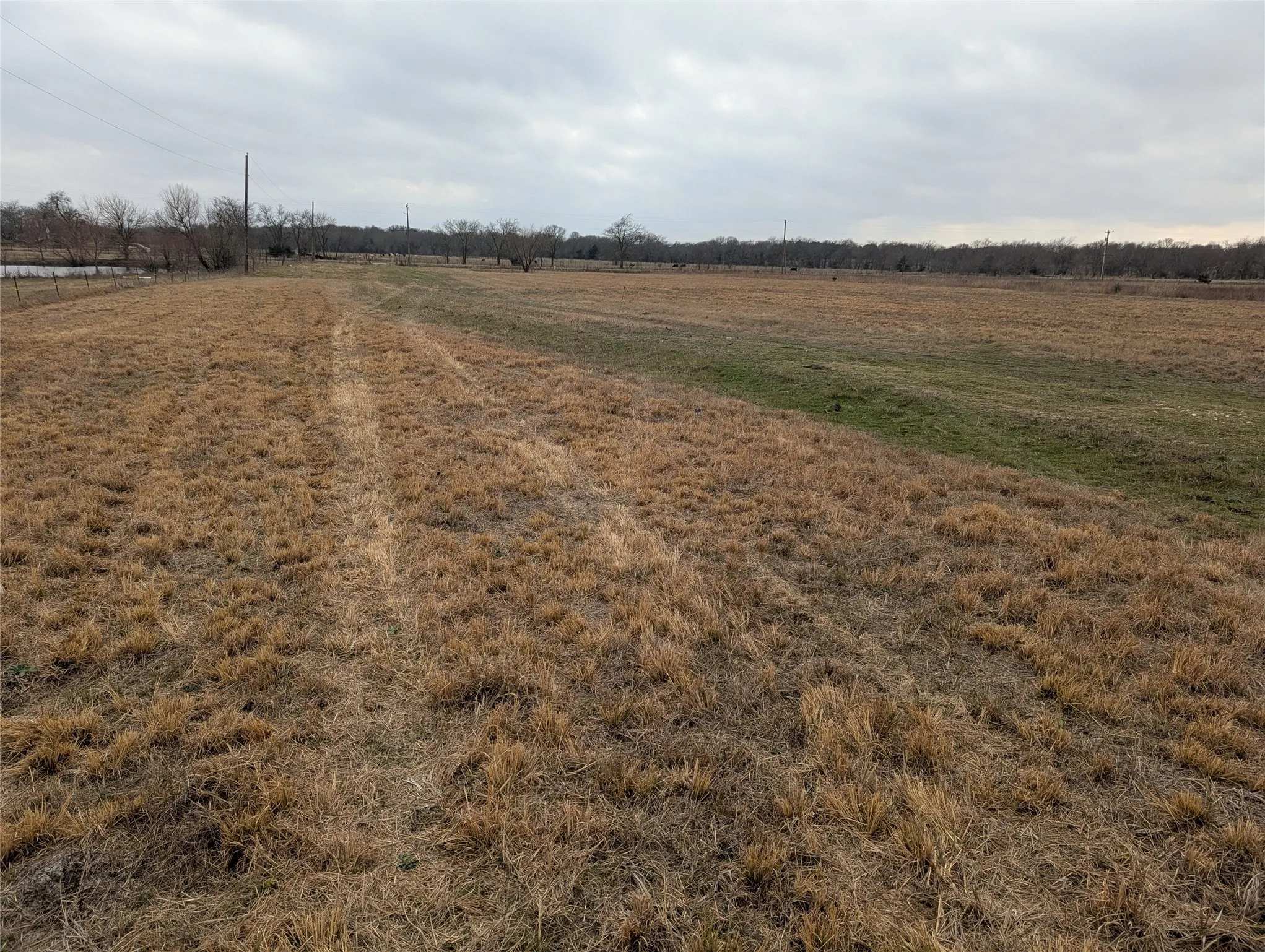 Improved Land For Sale in Hunt County , 4701 FM 512, Commerce, Texas 75428, 0, 0, Garage spaces, 0 Sqft, built in 0, Price $425,000, mls#21144709, Real Estate Agent in Commerce, Homes For Sale in Hunt county, Homes For Sale in Commerce, Realtor in Commerce Texas, Real Estate Brokerage Independent Realty Texas, Luminita Cordes Realtor