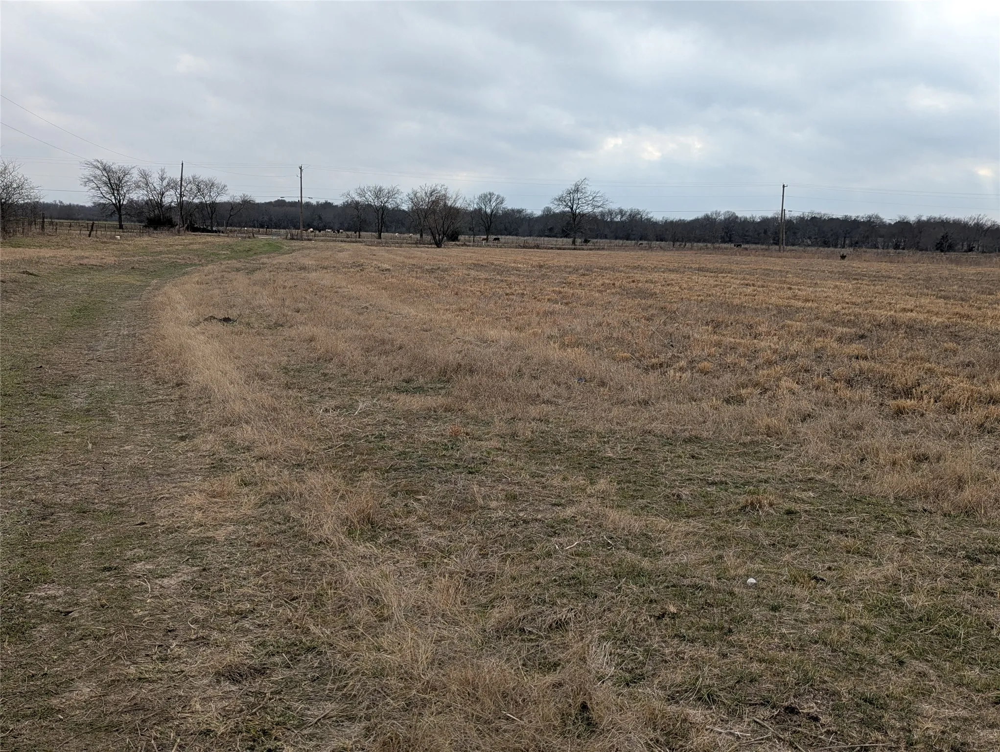 Improved Land For Sale in Hunt County , 4701 FM 512, Commerce, Texas 75428, 0, 0, Garage spaces, 0 Sqft, built in 0, Price $425,000, mls#21144709, Real Estate Agent in Commerce, Homes For Sale in Hunt county, Homes For Sale in Commerce, Realtor in Commerce Texas, Real Estate Brokerage Independent Realty Texas, Luminita Cordes Realtor
