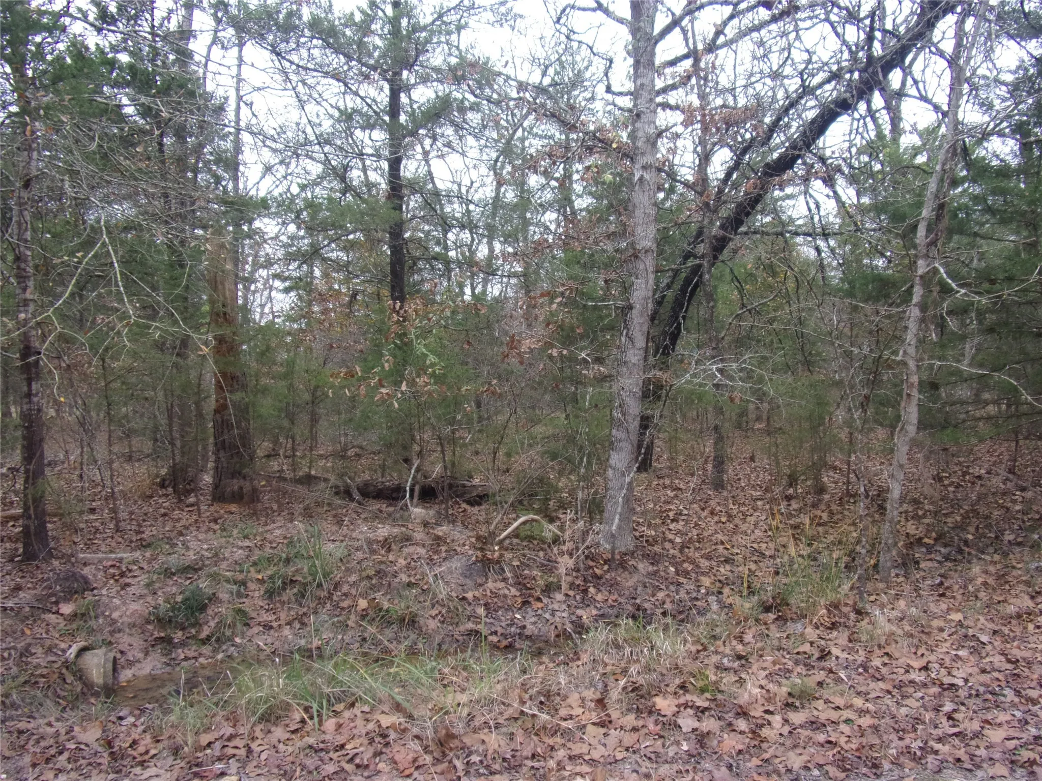 0.24 acre lot in gated Lake community
