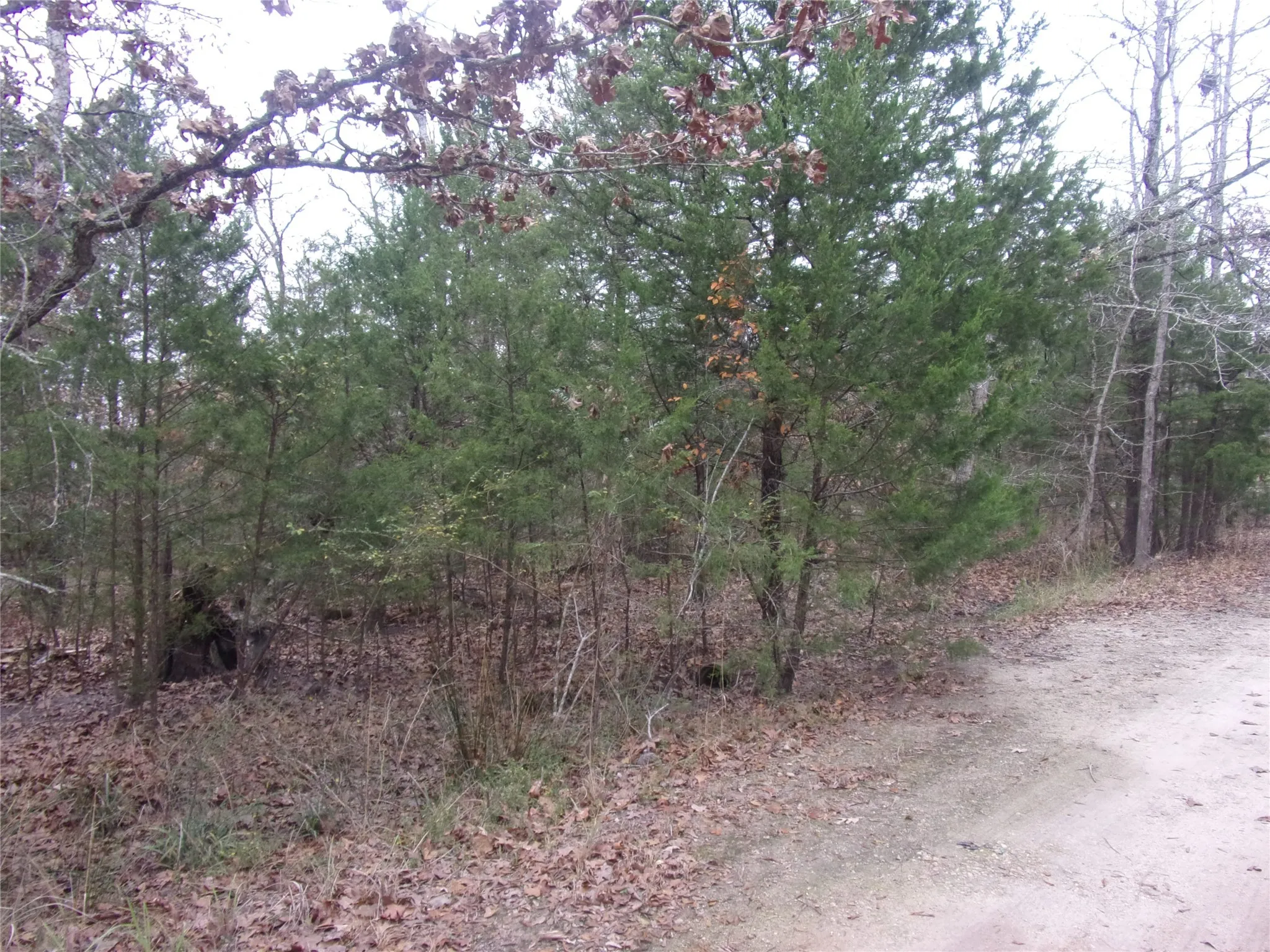 Unimproved Land For Sale in Van Zandt County , 000 Hideaway, Murchison, Texas 75778, 0, 0, Garage spaces, 0 Sqft, built in 0, Price $9,900, mls#21145345, Real Estate Agent in Murchison, Homes For Sale in Van Zandt county, Homes For Sale in Murchison, Realtor in Murchison Texas, Real Estate Brokerage Independent Realty Texas, Luminita Cordes Realtor