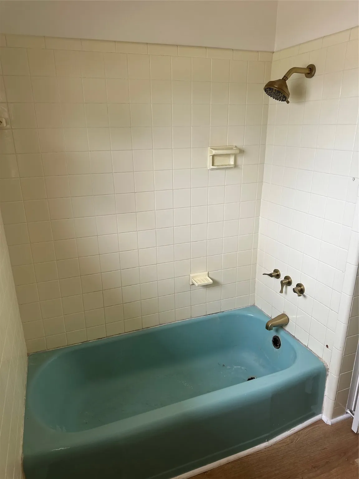 Full bathroom shower / washtub combination